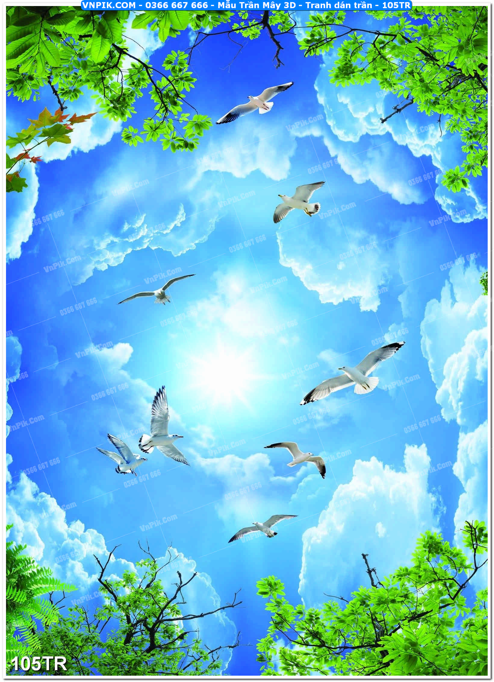 Mẫu Trần Mây 3D – Tranh dán trần 105TR
