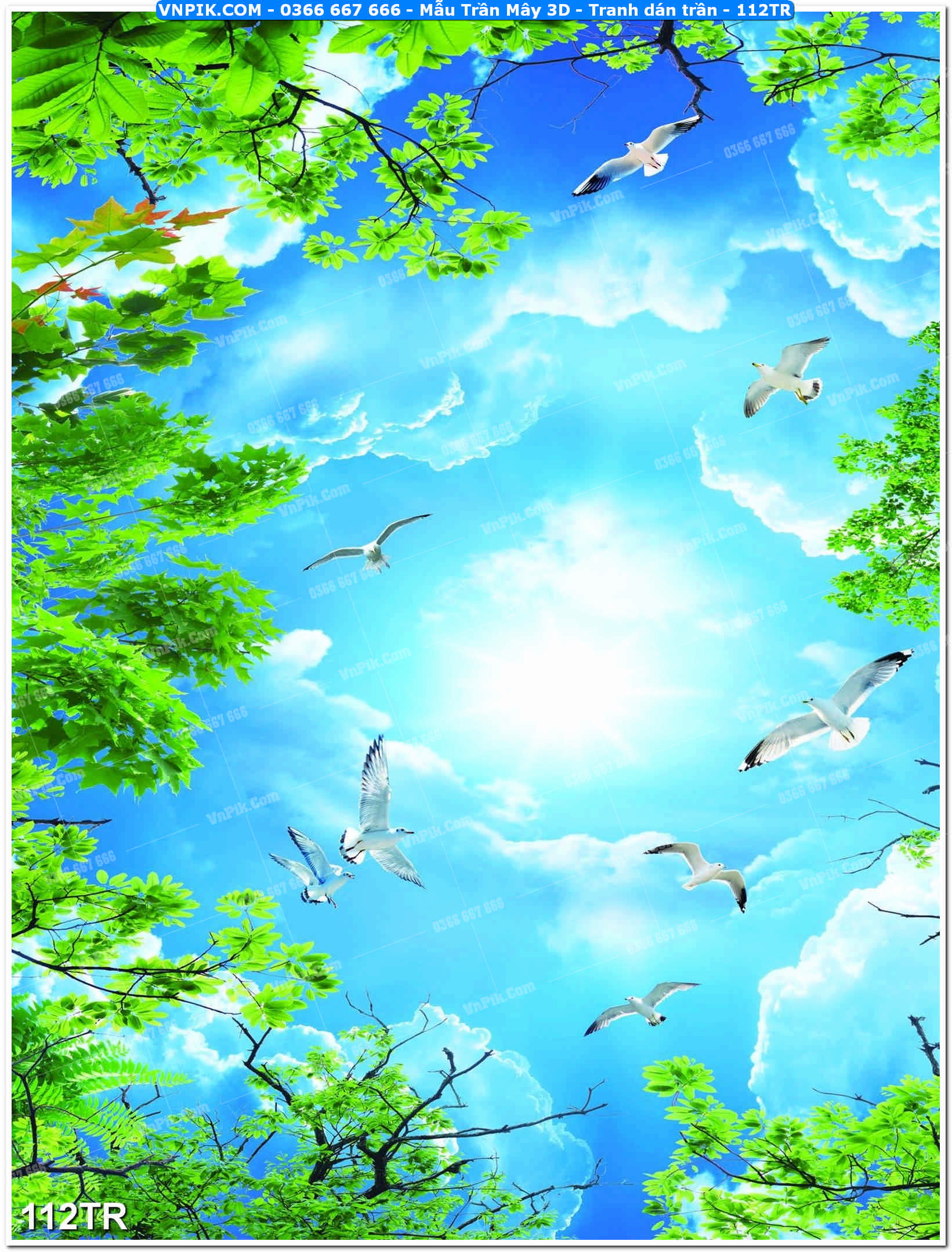 Mẫu Trần Mây 3D – Tranh dán trần 112TR
