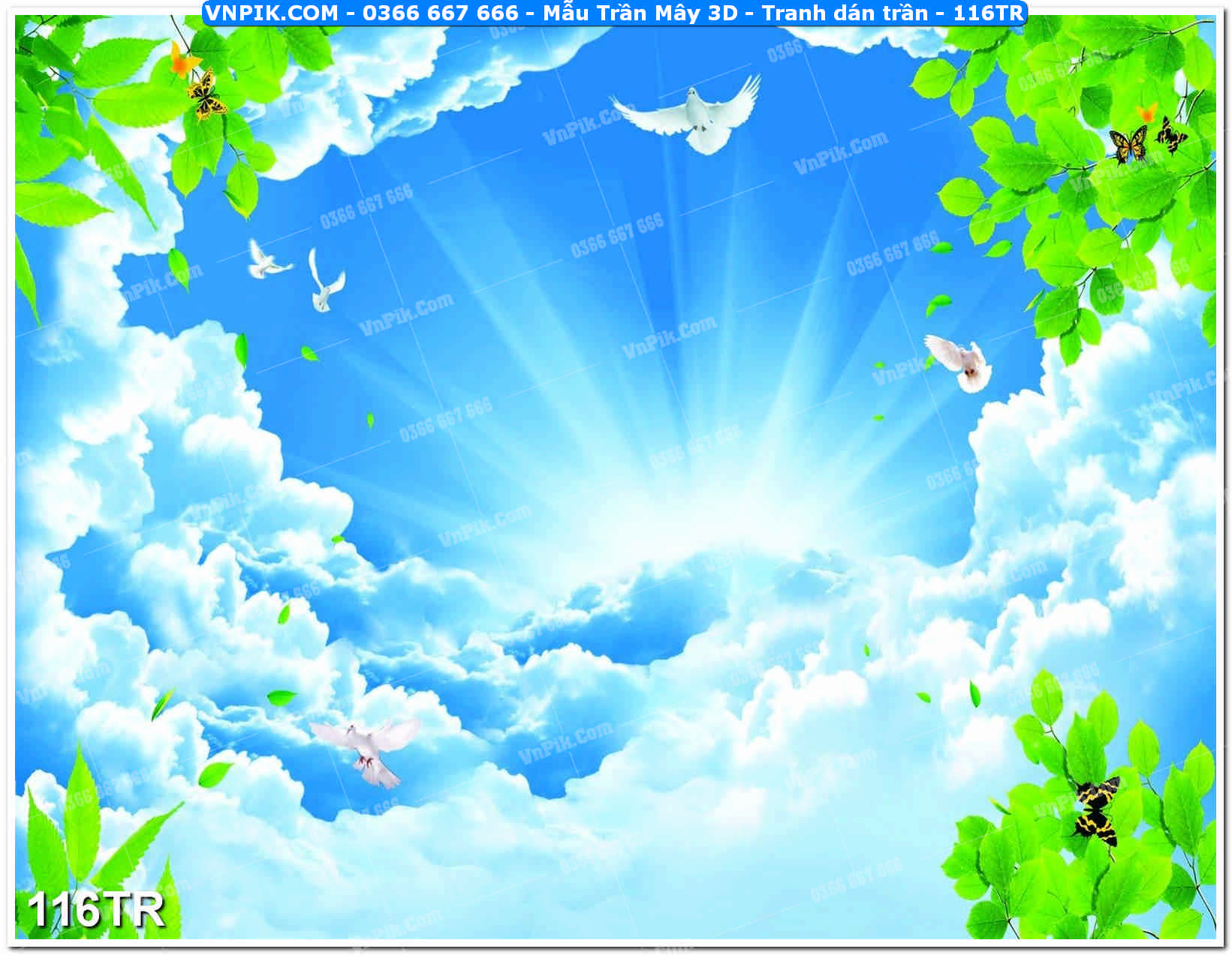 Mẫu Trần Mây 3D – Tranh dán trần 116TR