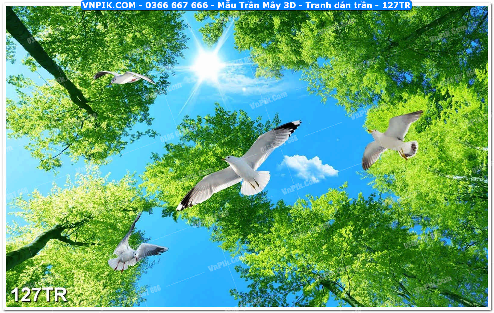 Mẫu Trần Mây 3D – Tranh dán trần 127TR