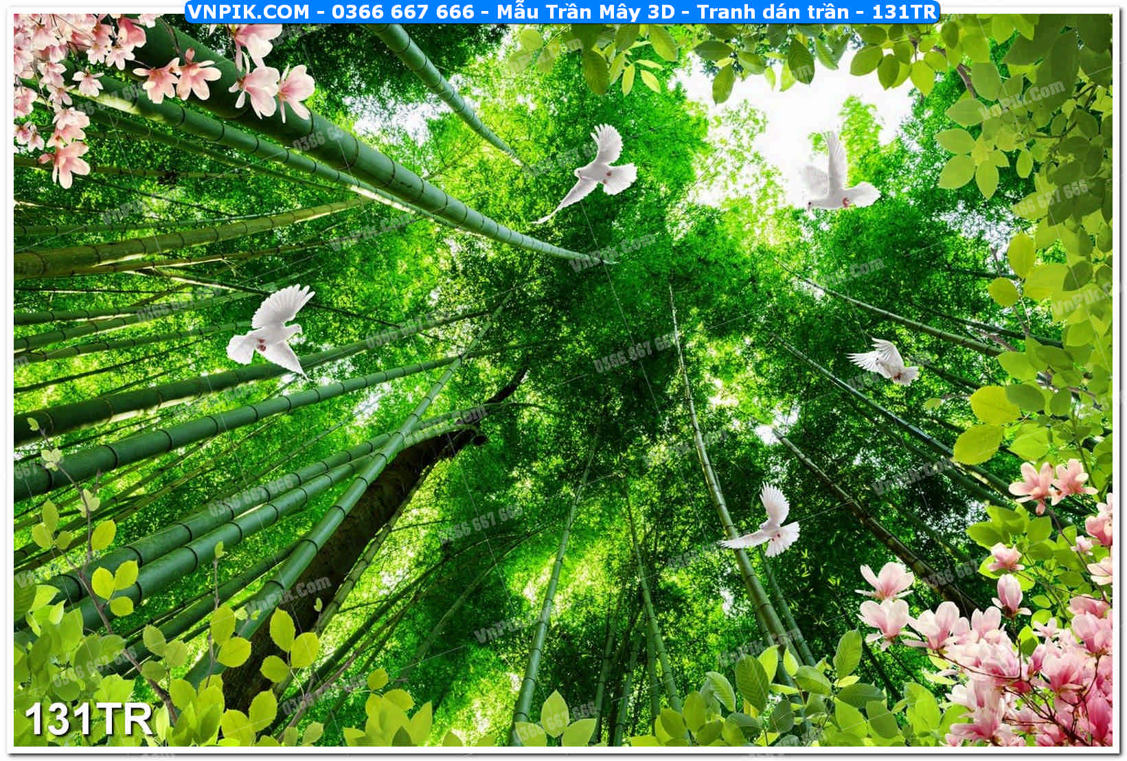 Mẫu Trần Mây 3D – Tranh dán trần 131TR