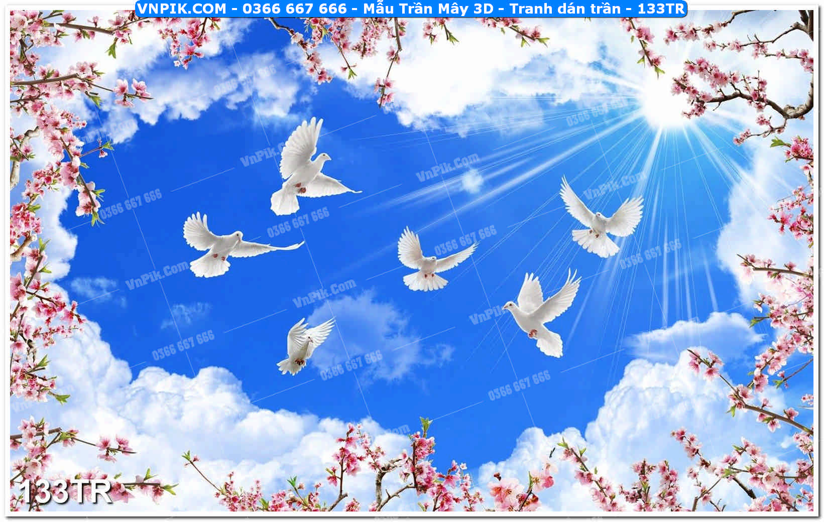 Mẫu Trần Mây 3D – Tranh dán trần 133TR