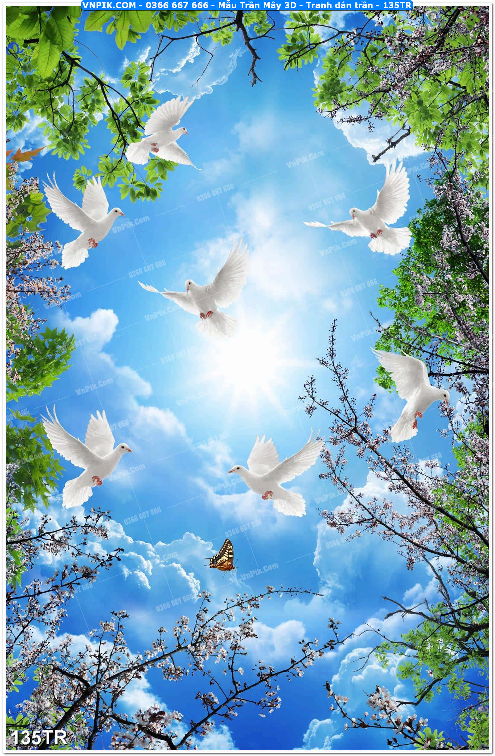 Mẫu Trần Mây 3D – Tranh dán trần 135TR