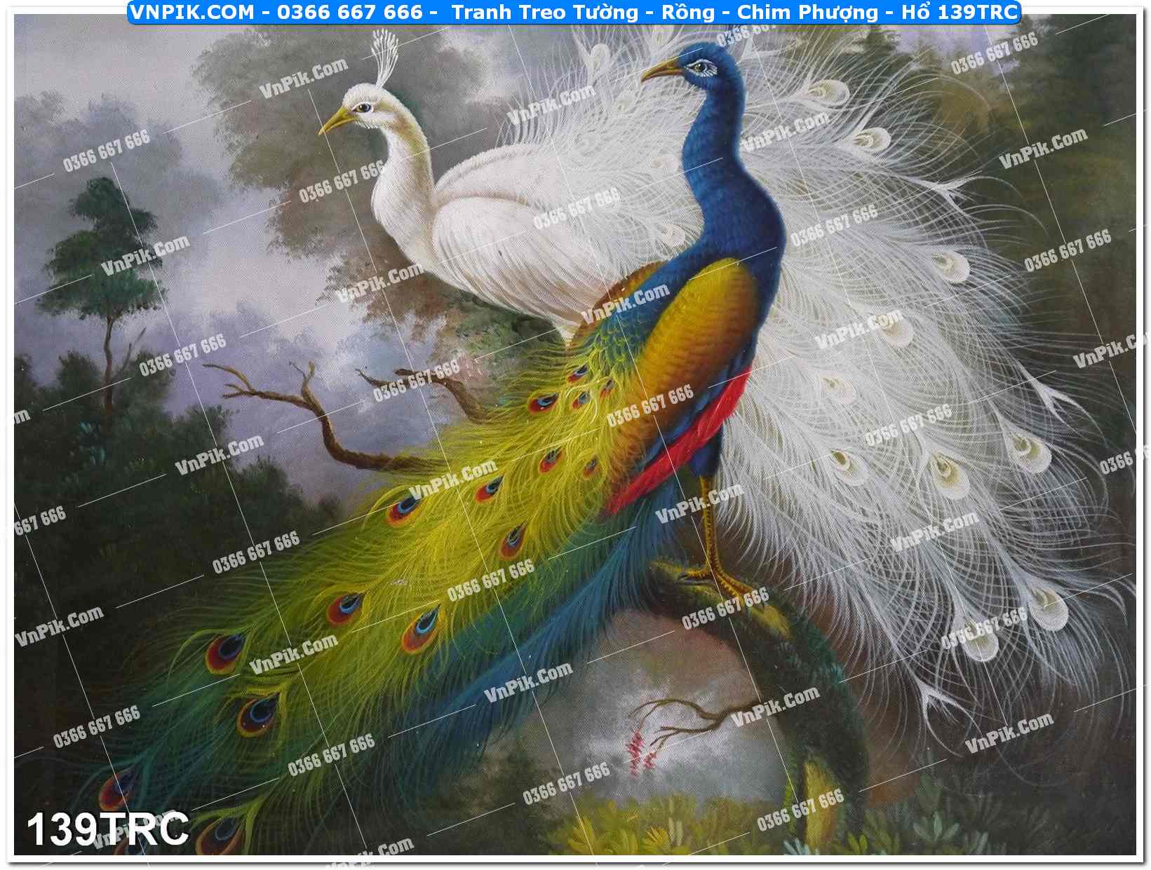 Tranh Treo Tường – Rồng – Chim Phượng – Hổ 139TRC