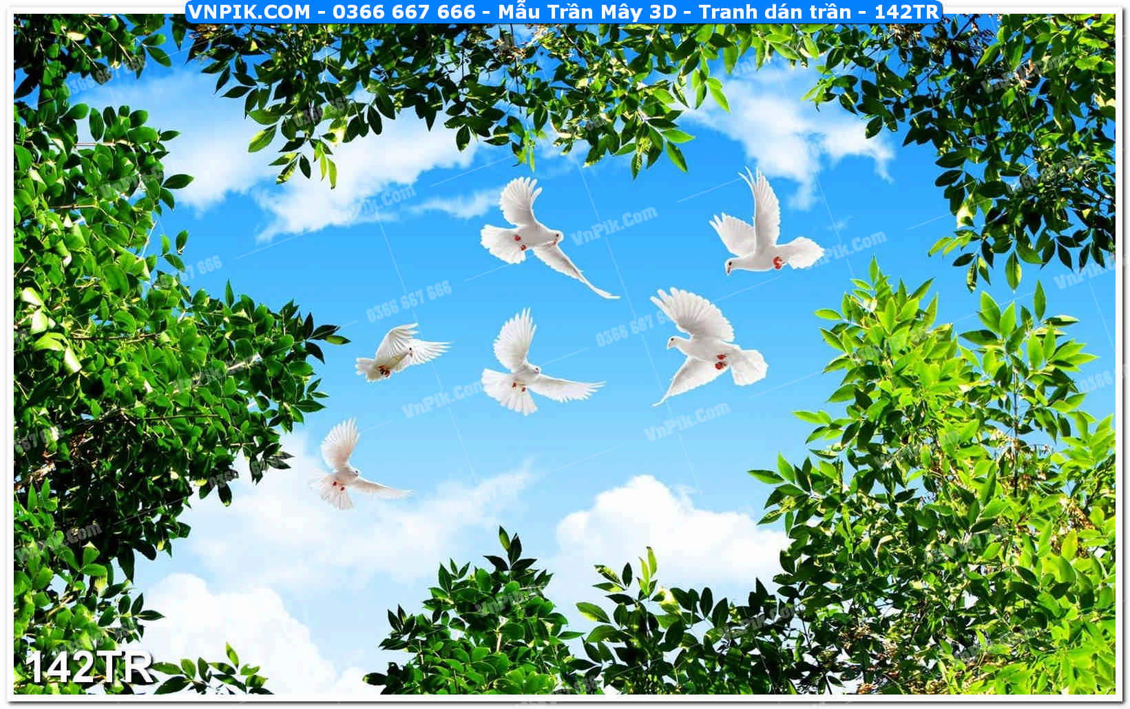 Mẫu Trần Mây 3D – Tranh dán trần 142TR