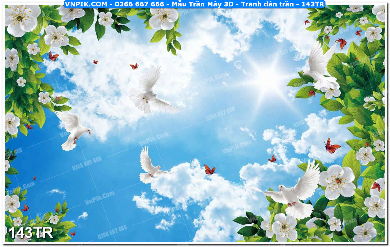 Mẫu Trần Mây 3D – Tranh dán trần 143TR