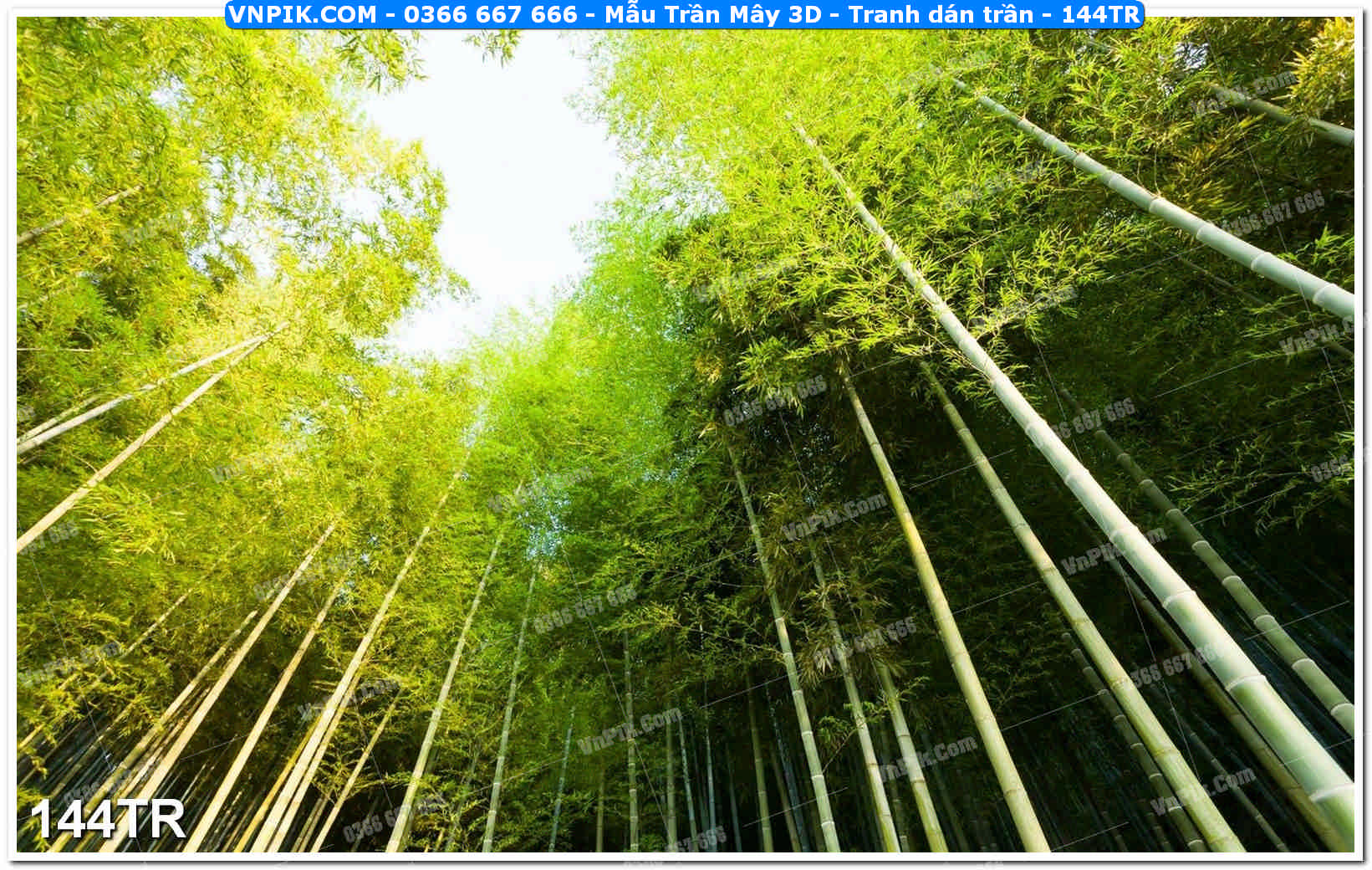 Mẫu Trần Mây 3D – Tranh dán trần 144TR