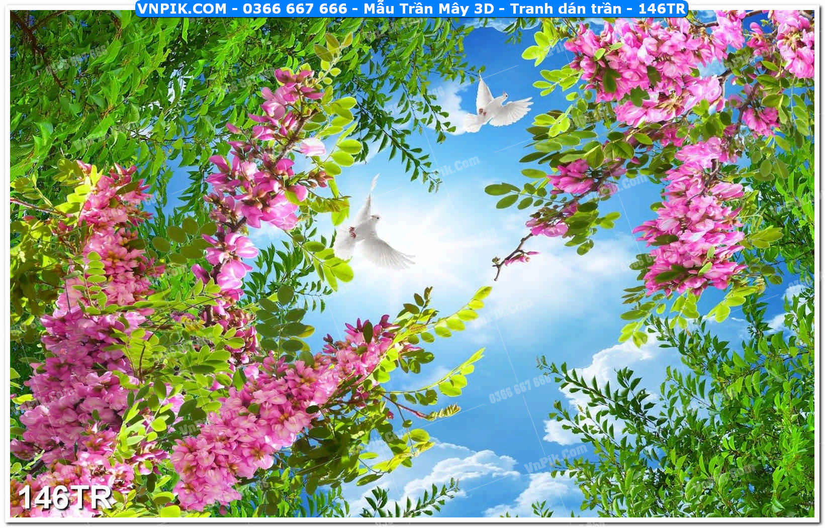 Mẫu Trần Mây 3D – Tranh dán trần 146TR
