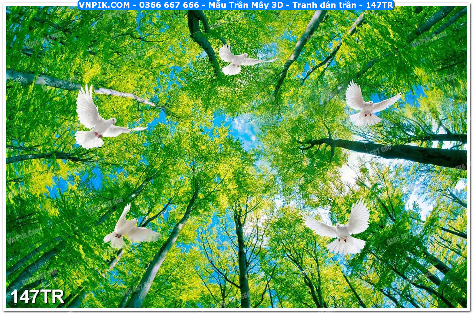 Mẫu Trần Mây 3D – Tranh dán trần 147TR
