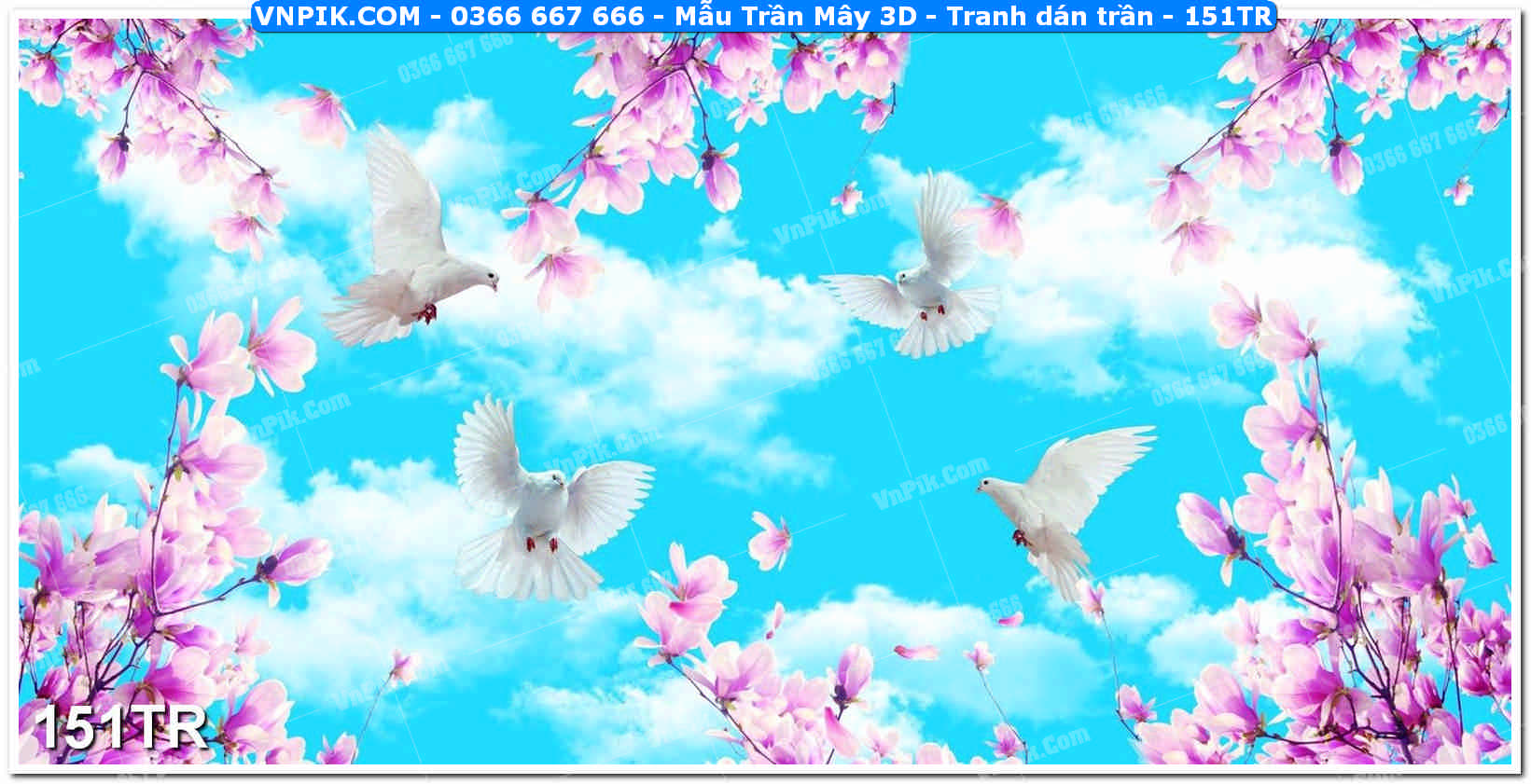 Mẫu Trần Mây 3D – Tranh dán trần 151TR