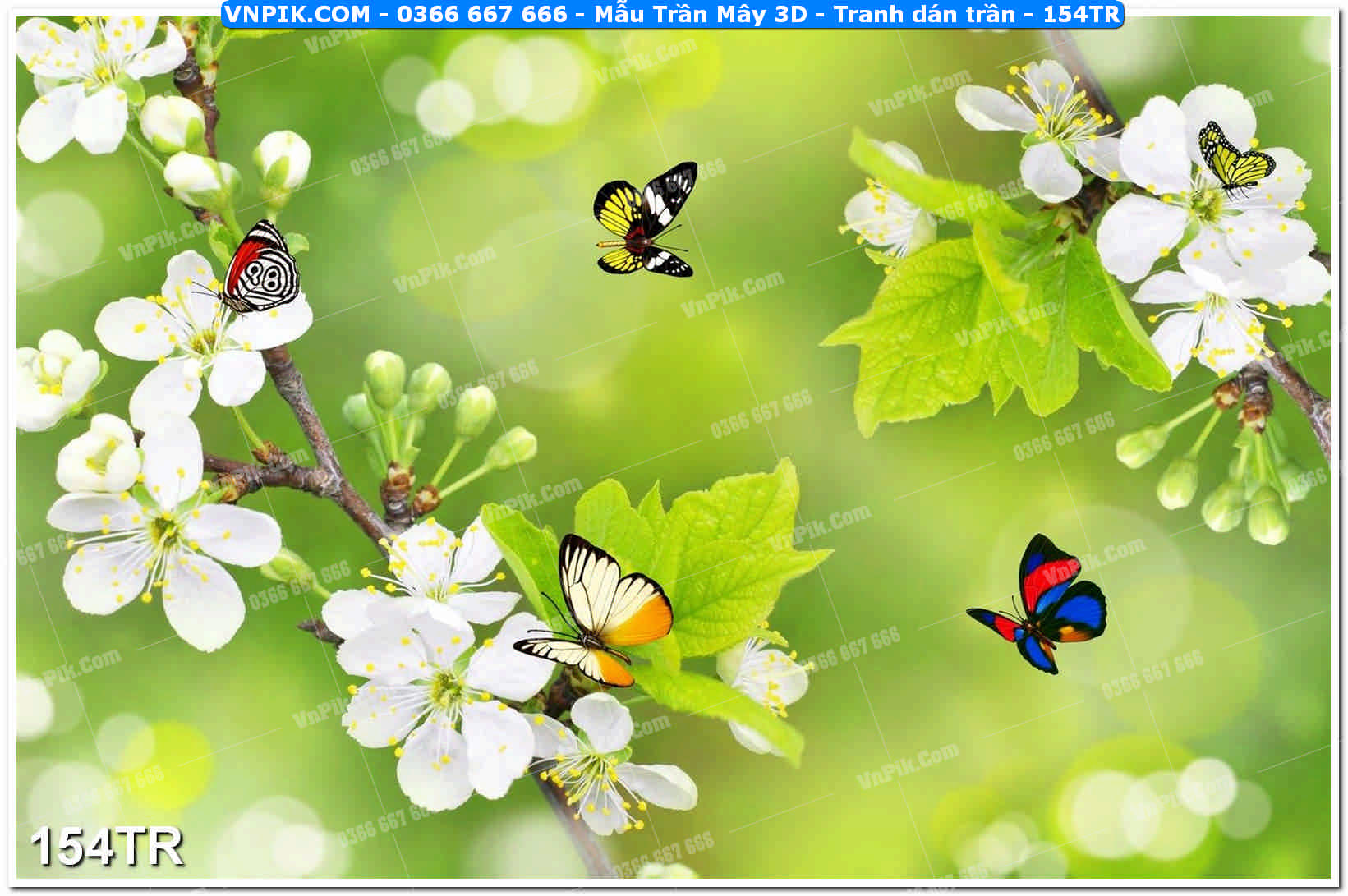 Mẫu Trần Mây 3D – Tranh dán trần 154TR