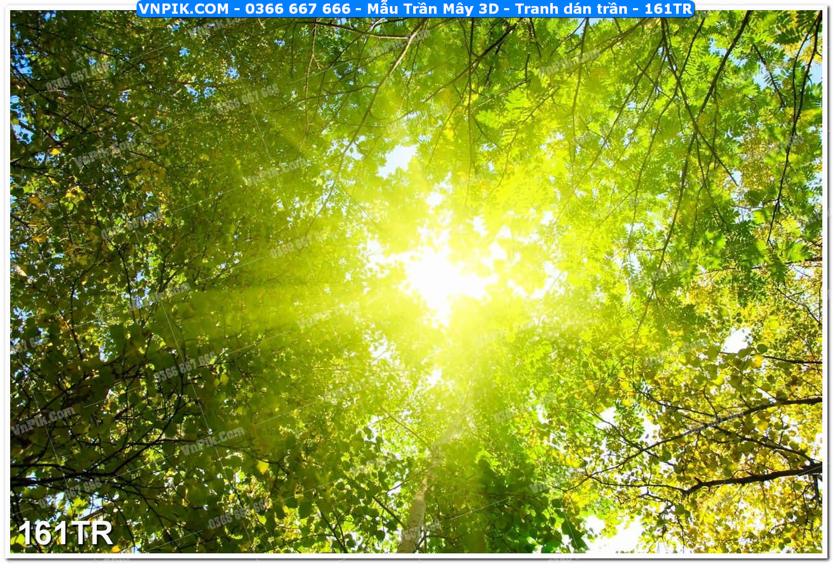 Mẫu Trần Mây 3D – Tranh dán trần 161TR