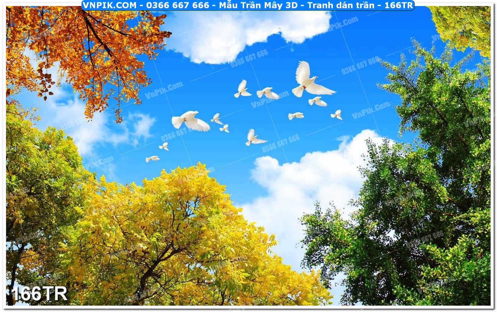 Mẫu Trần Mây 3D – Tranh dán trần 166TR