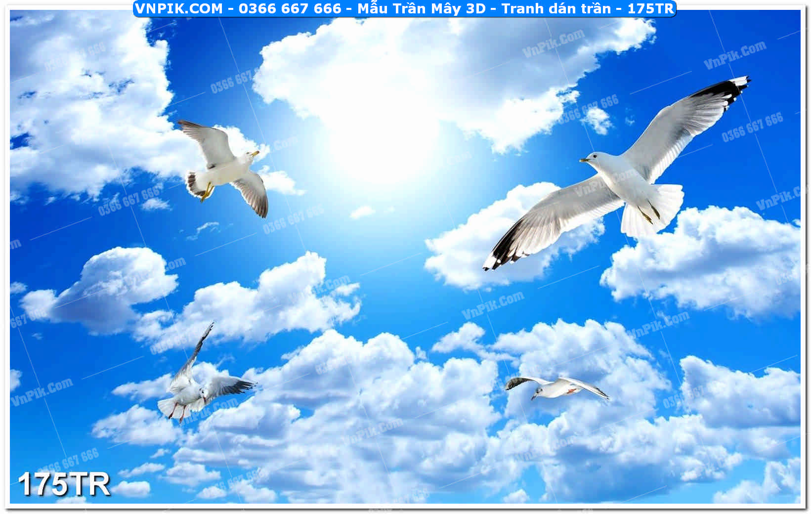 Mẫu Trần Mây 3D – Tranh dán trần 175TR