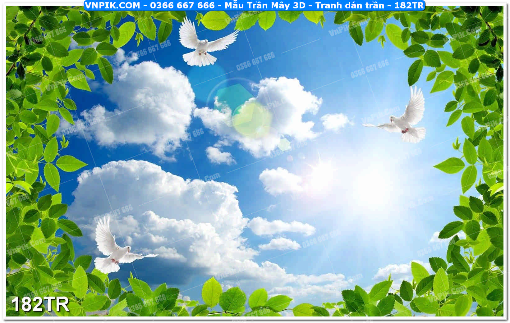 Mẫu Trần Mây 3D – Tranh dán trần 182TR