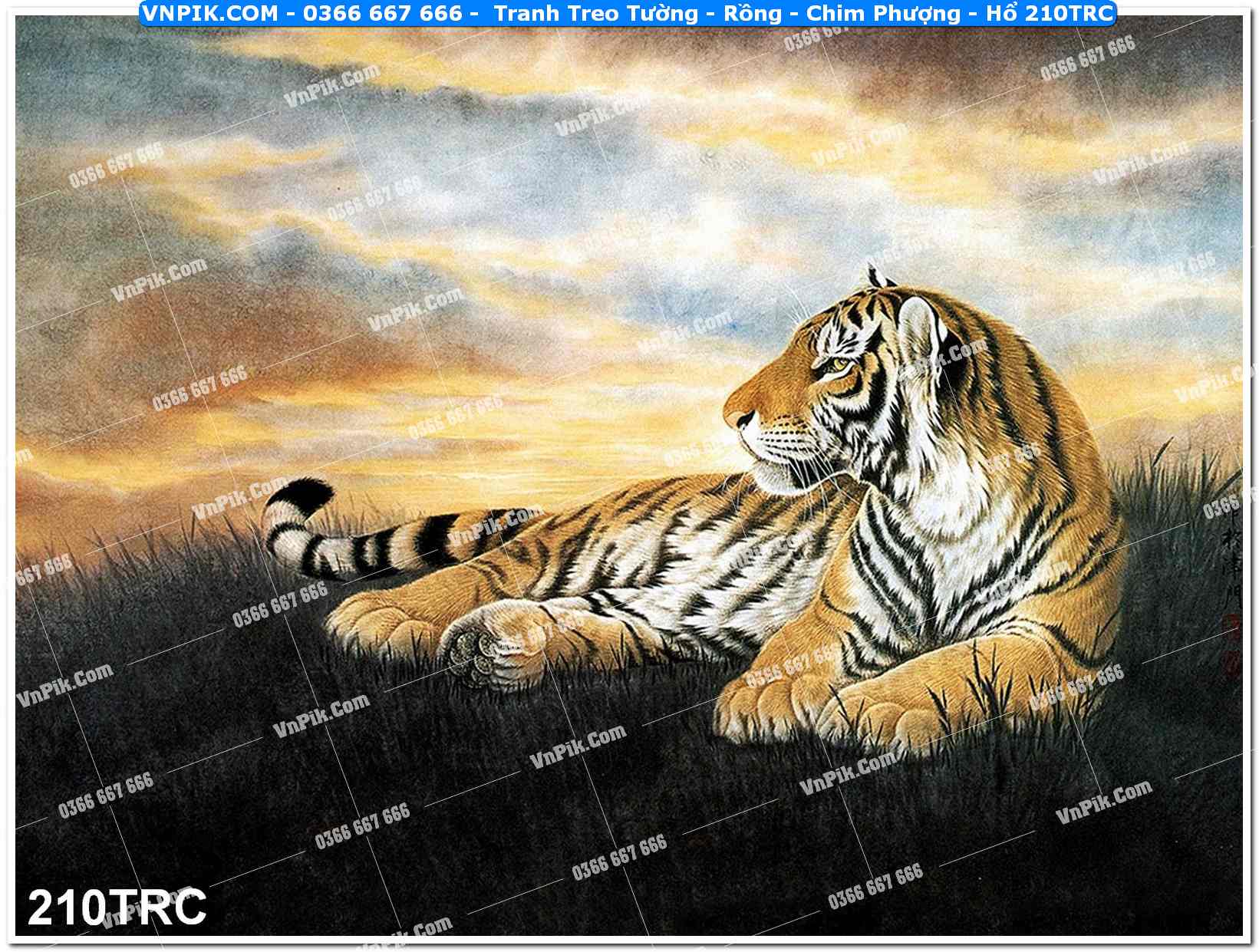 Tranh Treo Tường – Rồng – Chim Phượng – Hổ 210TRC