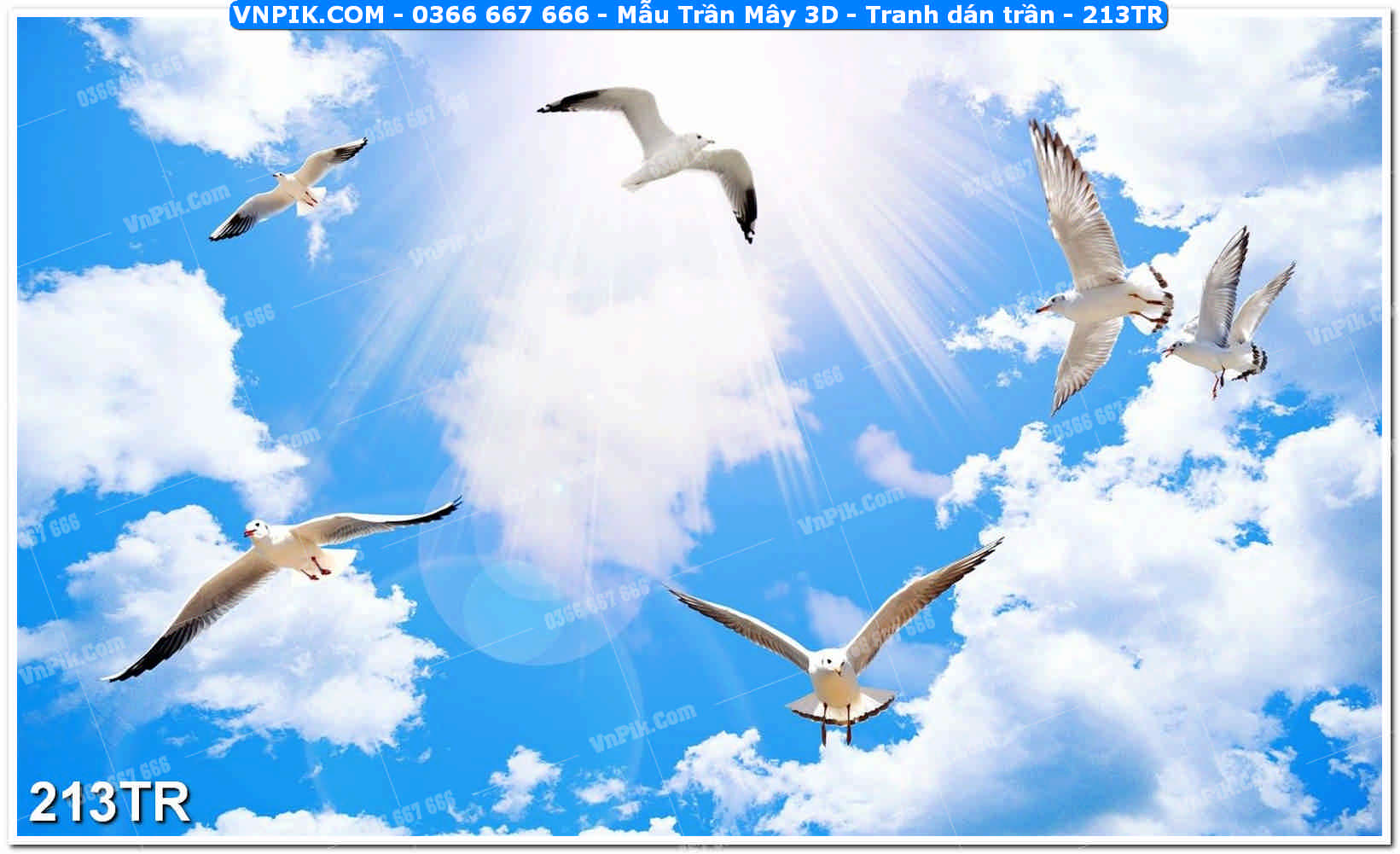 Mẫu Trần Mây 3D – Tranh dán trần 213TR