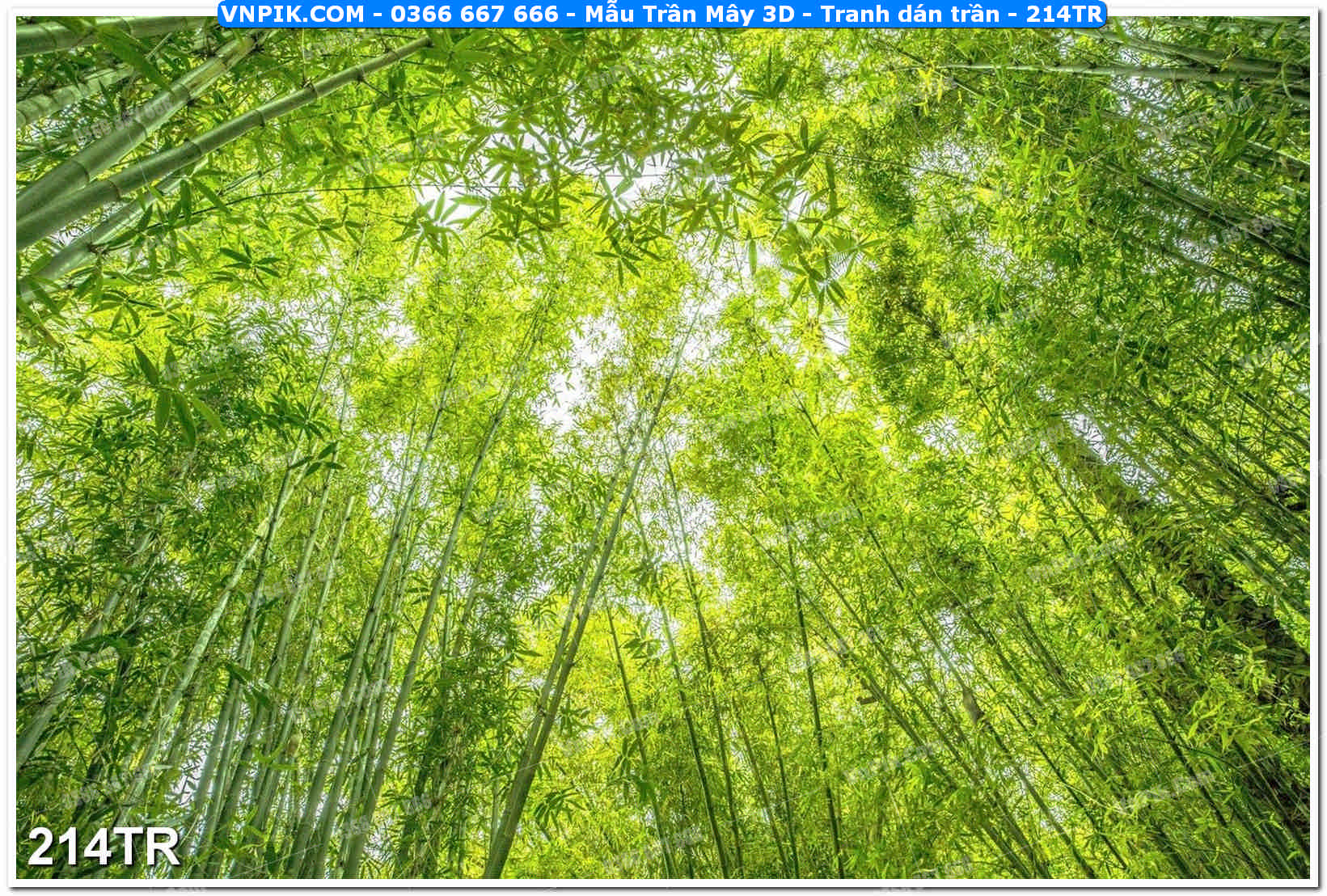 Mẫu Trần Mây 3D – Tranh dán trần 214TR
