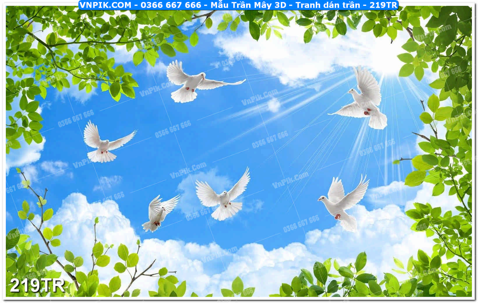 Mẫu Trần Mây 3D – Tranh dán trần 219TR