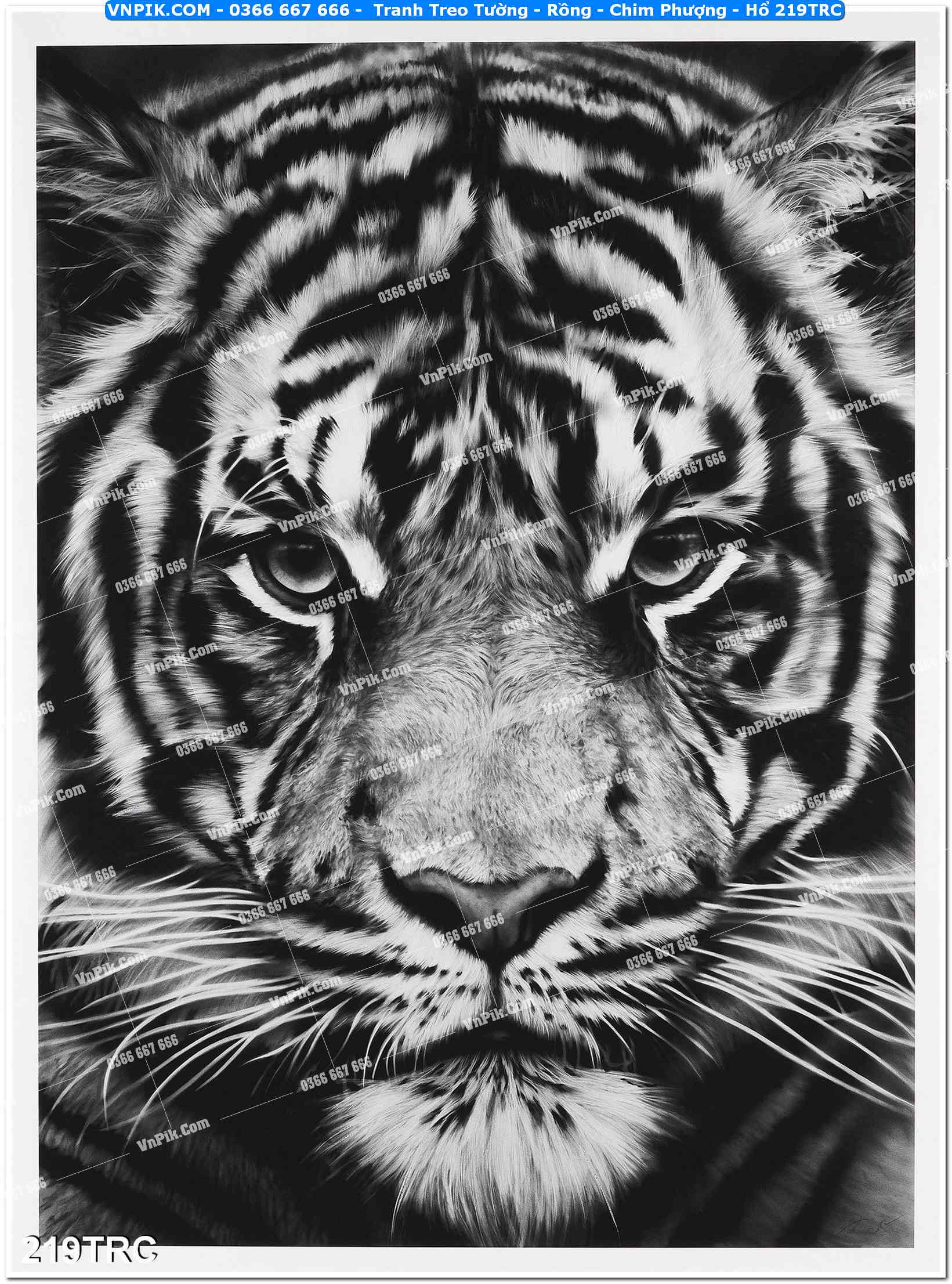 Tranh Treo Tường – Rồng – Chim Phượng – Hổ 219TRC