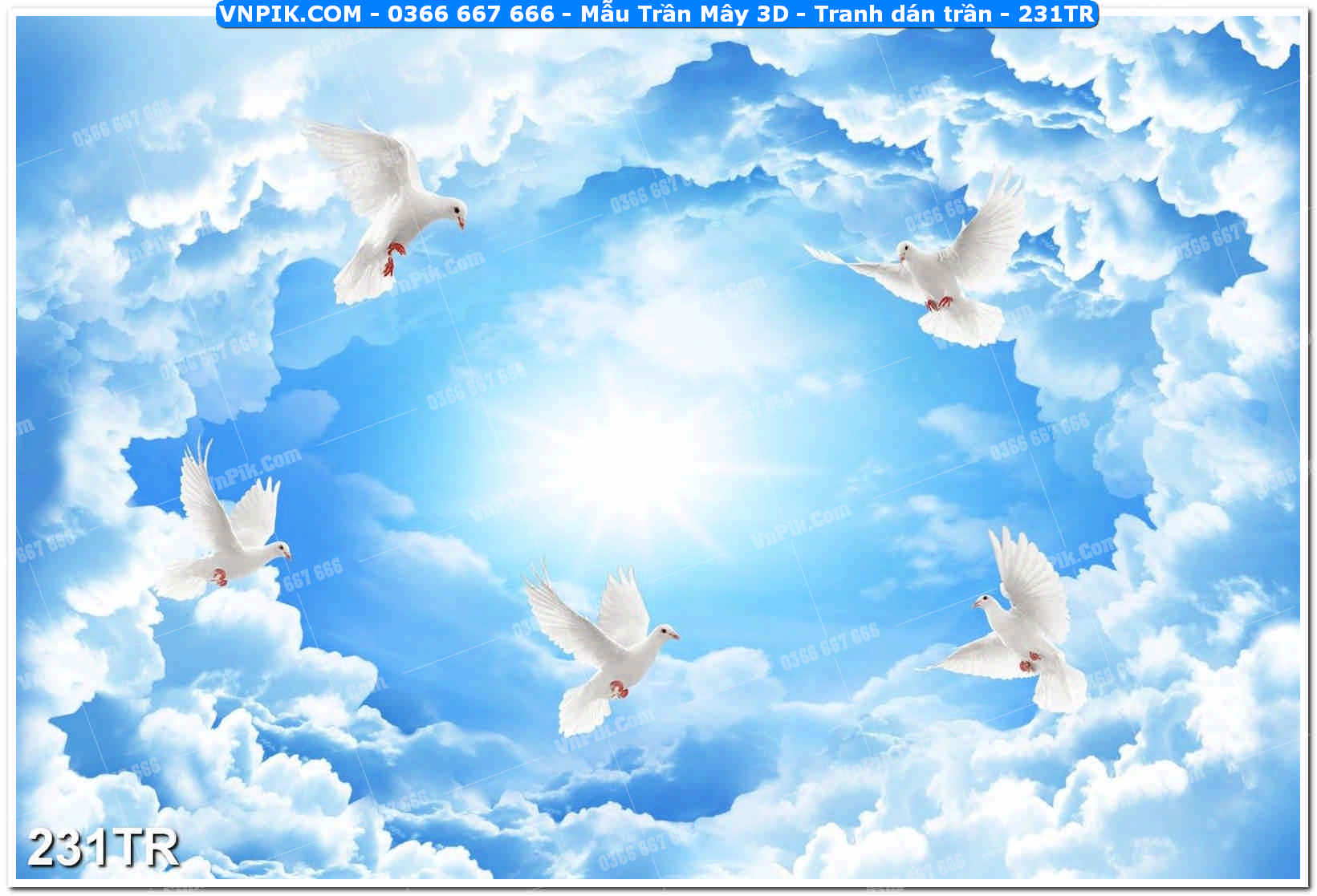 Mẫu Trần Mây 3D – Tranh dán trần 231TR