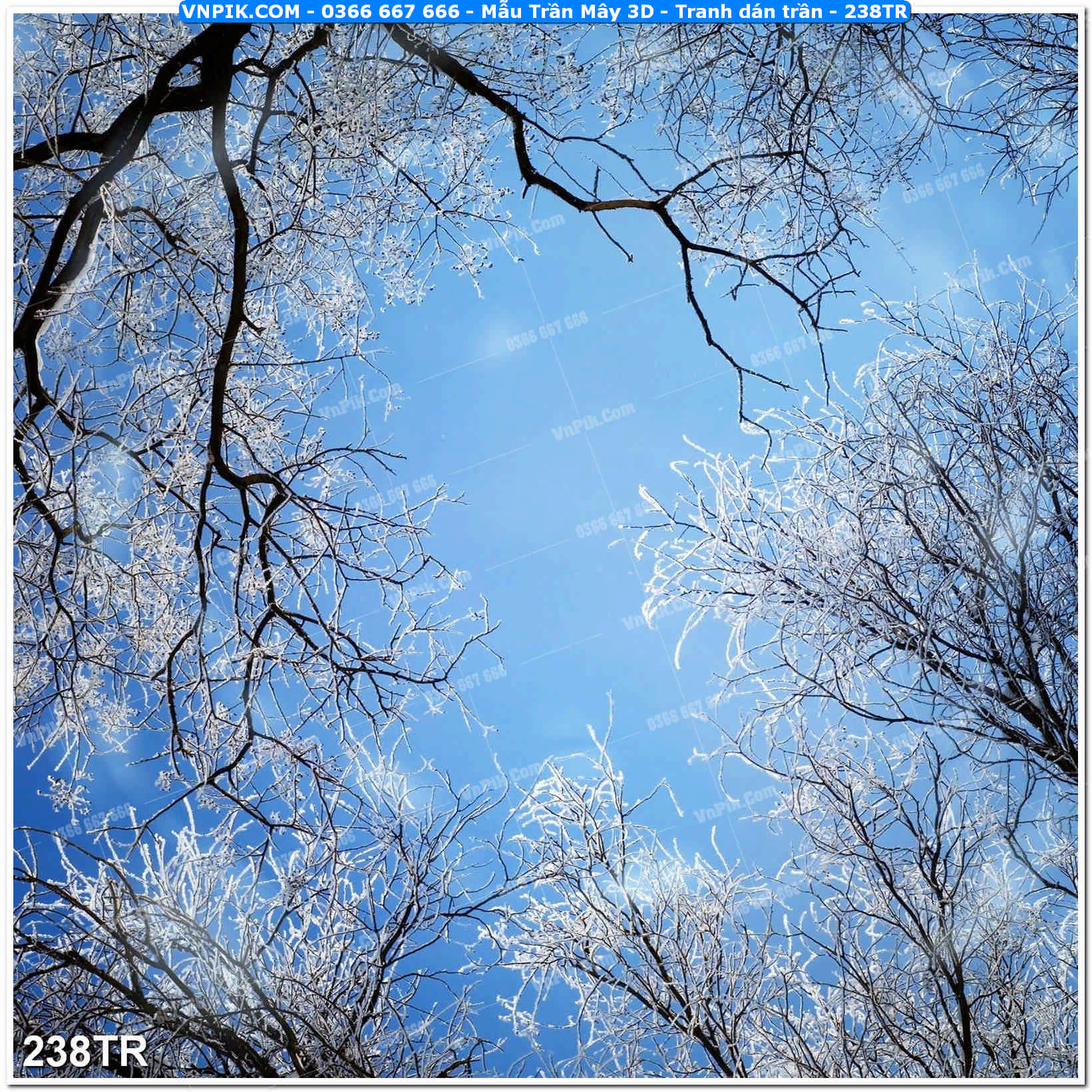Mẫu Trần Mây 3D – Tranh dán trần 238TR