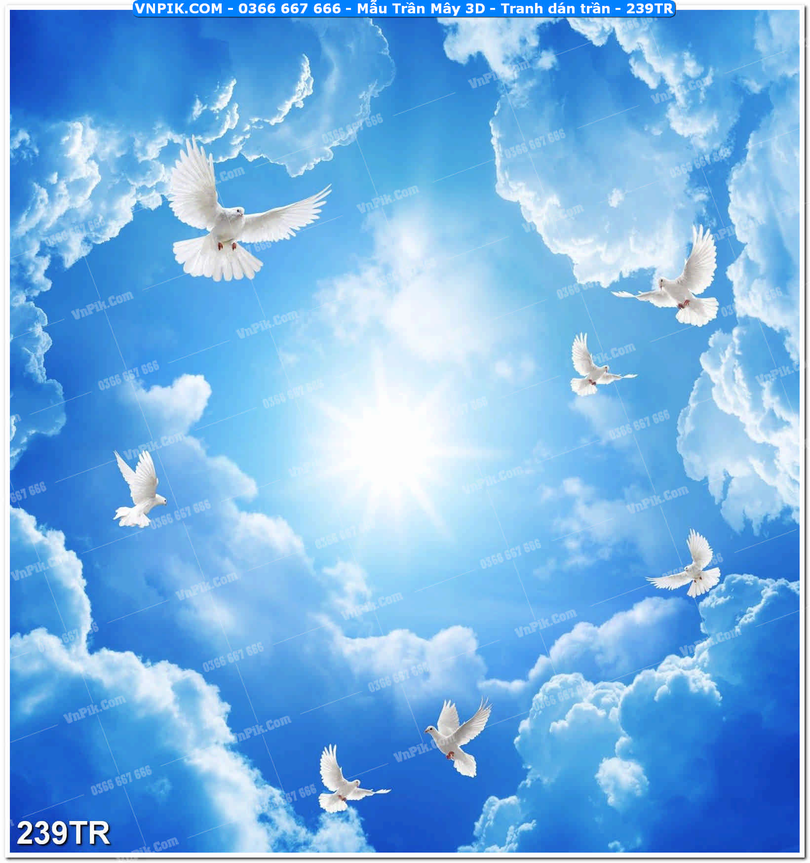 Mẫu Trần Mây 3D – Tranh dán trần 239TR