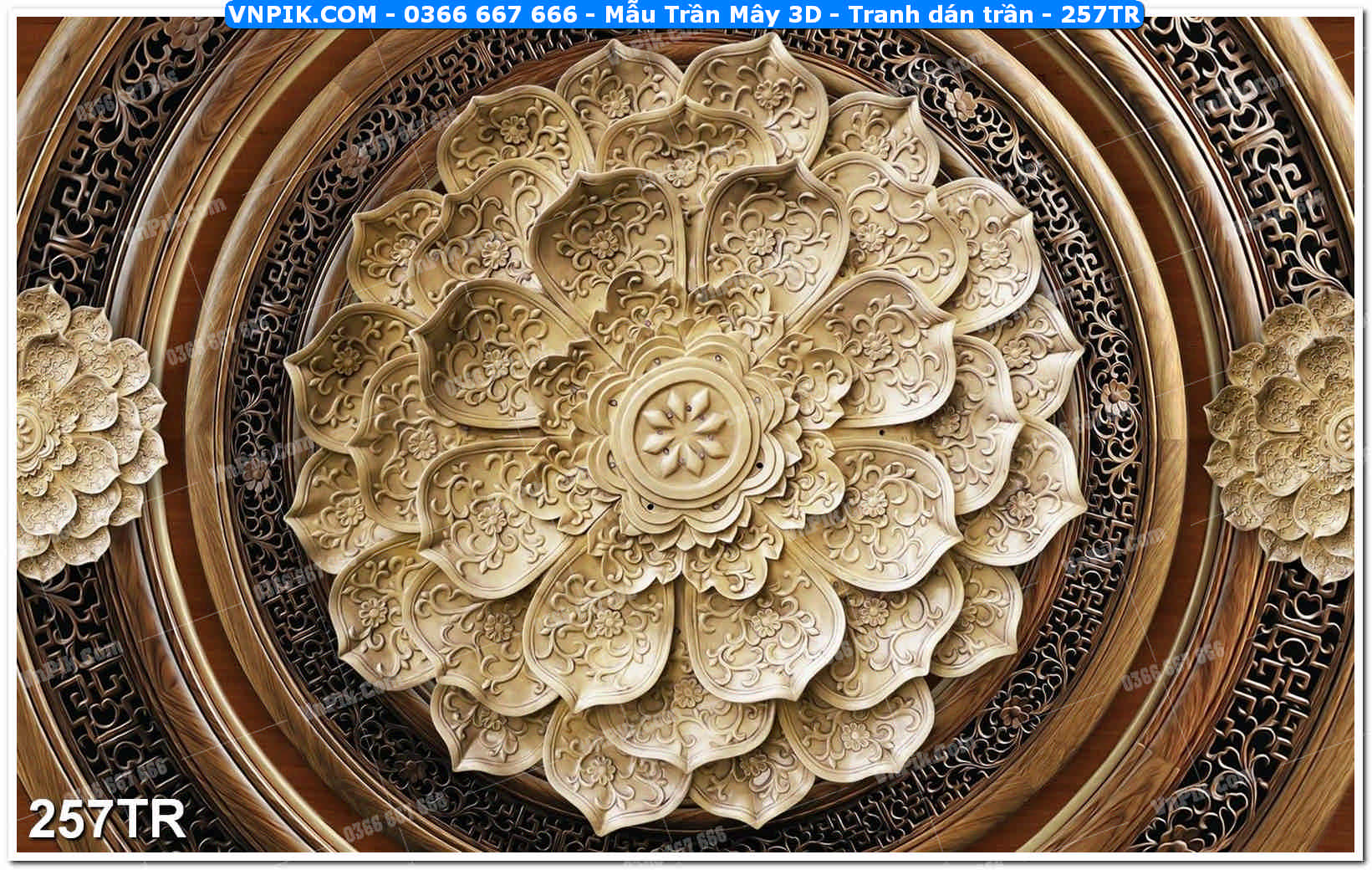 Mẫu Trần Mây 3D – Tranh dán trần 257TR
