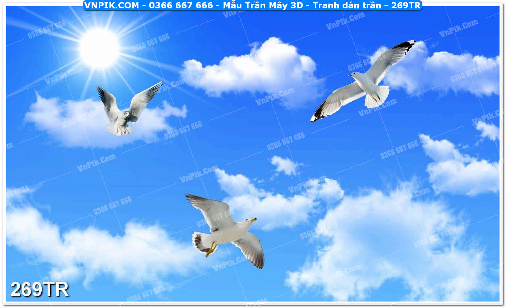 Mẫu Trần Mây 3D – Tranh dán trần 269TR