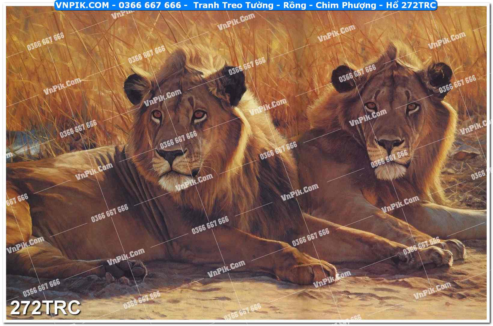 Tranh Treo Tường – Rồng – Chim Phượng – Hổ 272TRC