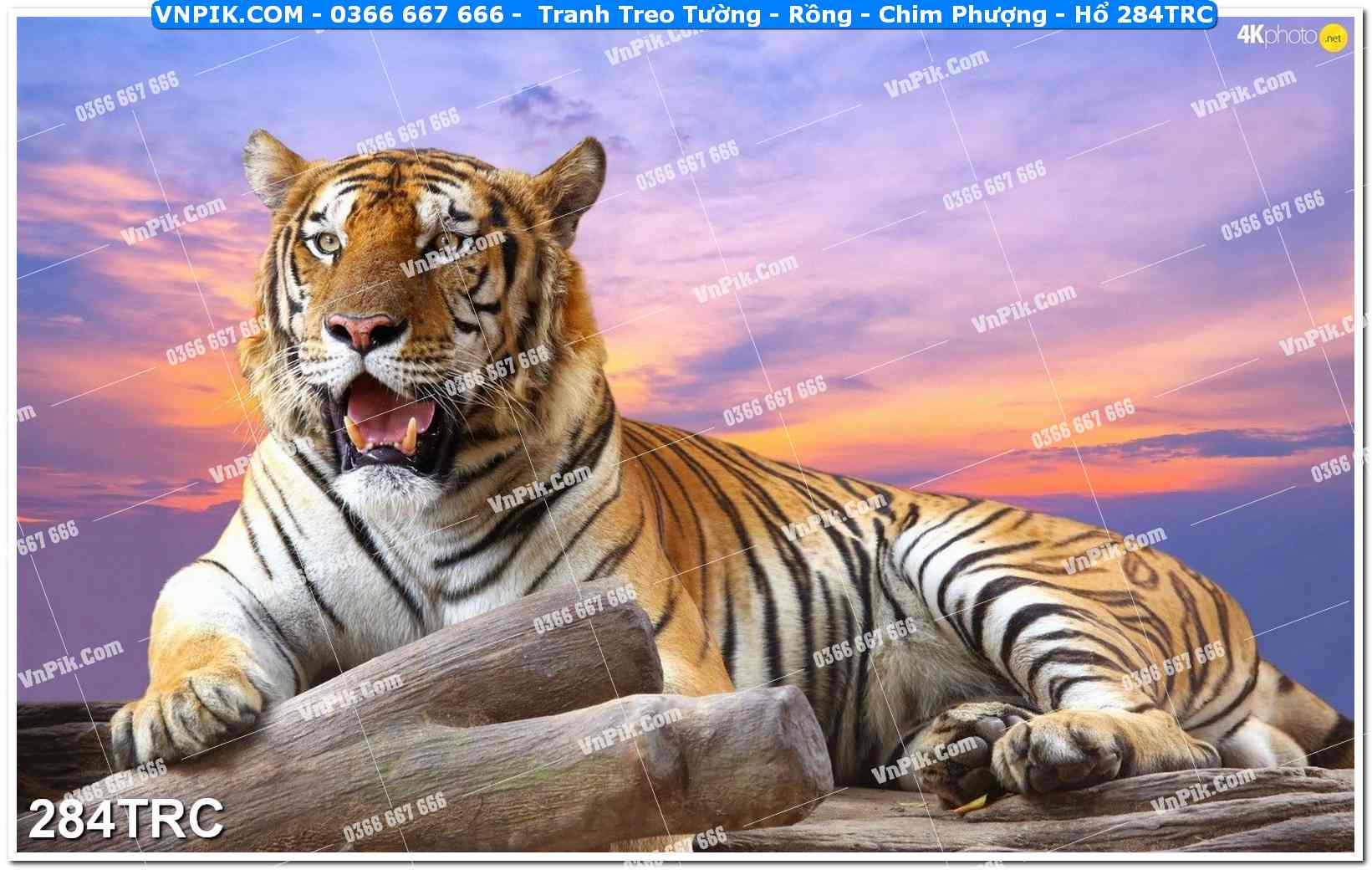 Tranh Treo Tường – Rồng – Chim Phượng – Hổ 284TRC