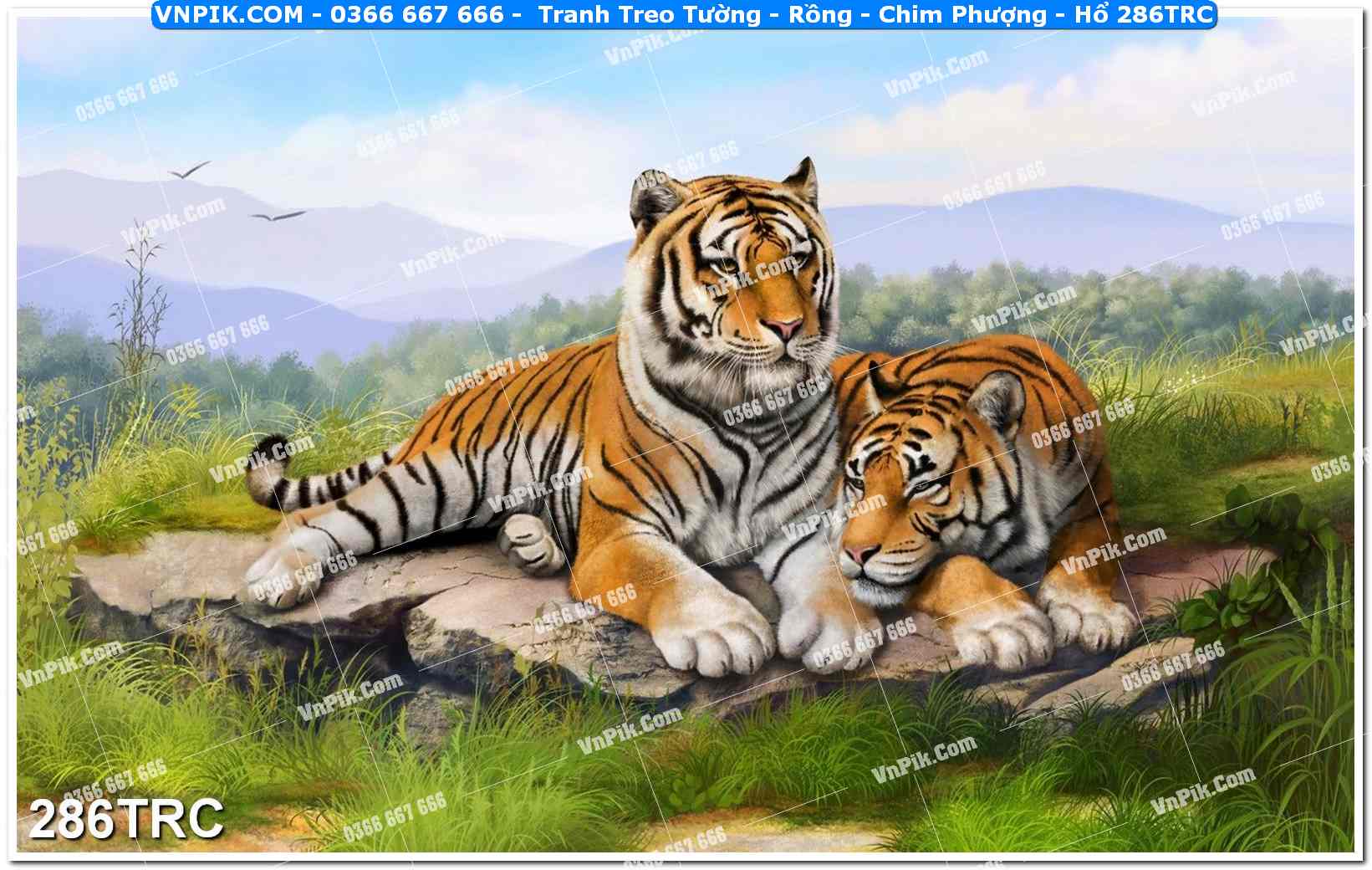 Tranh Treo Tường – Rồng – Chim Phượng – Hổ 286TRC