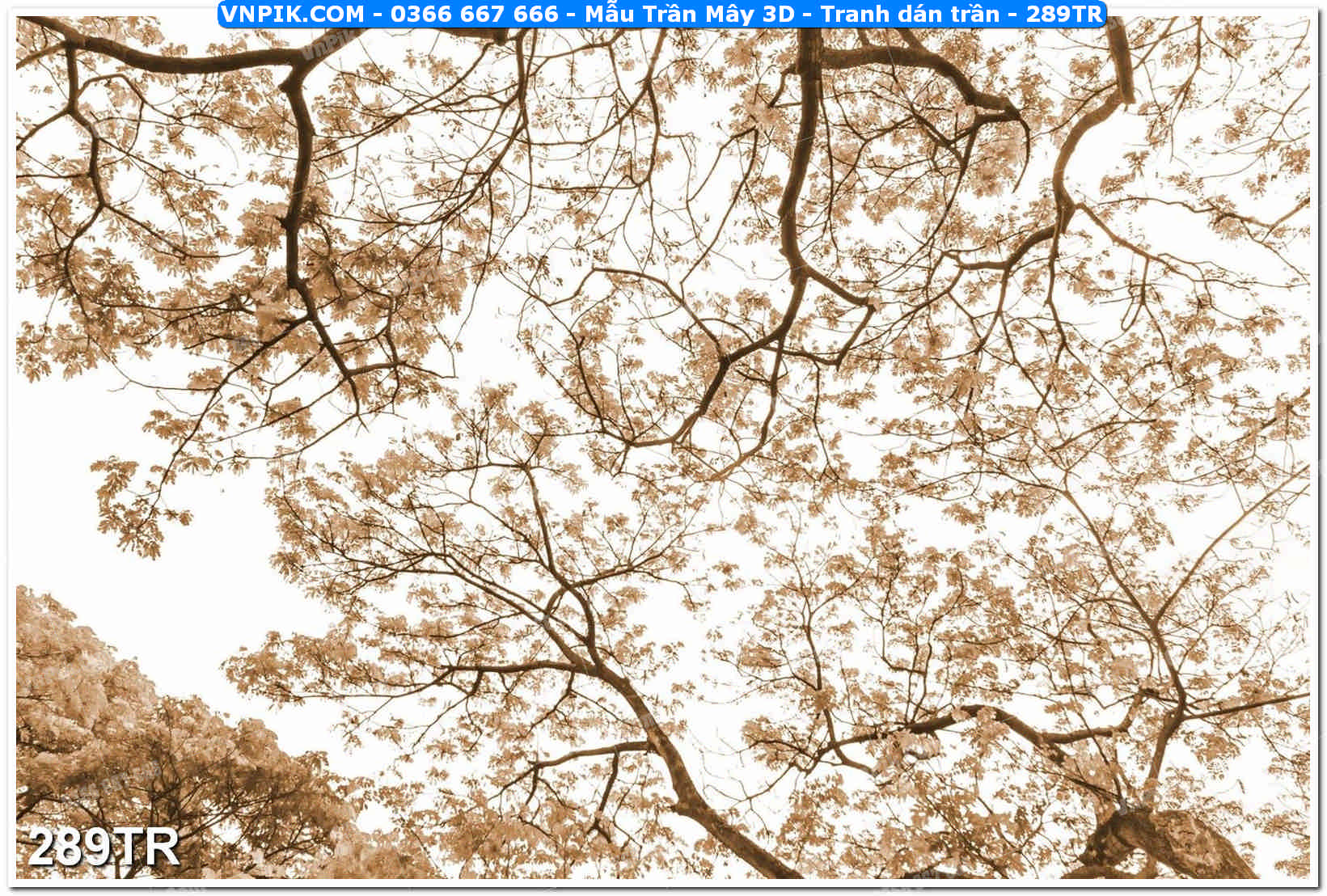 Mẫu Trần Mây 3D – Tranh dán trần 289TR