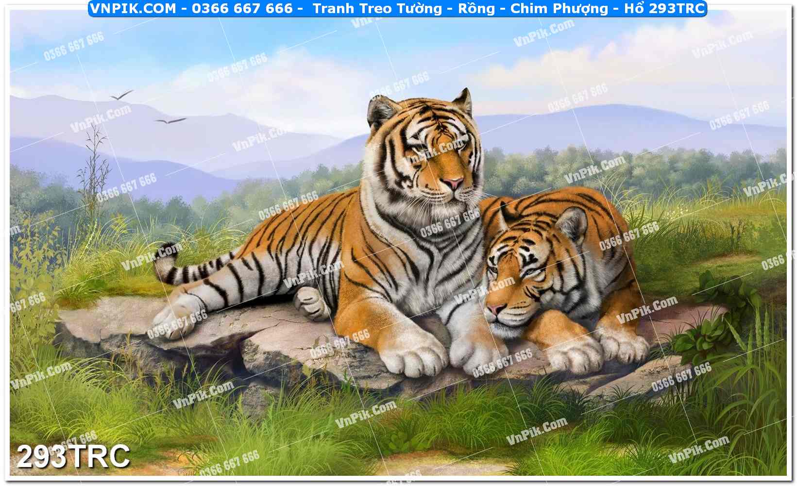 Tranh Treo Tường – Rồng – Chim Phượng – Hổ 293TRC