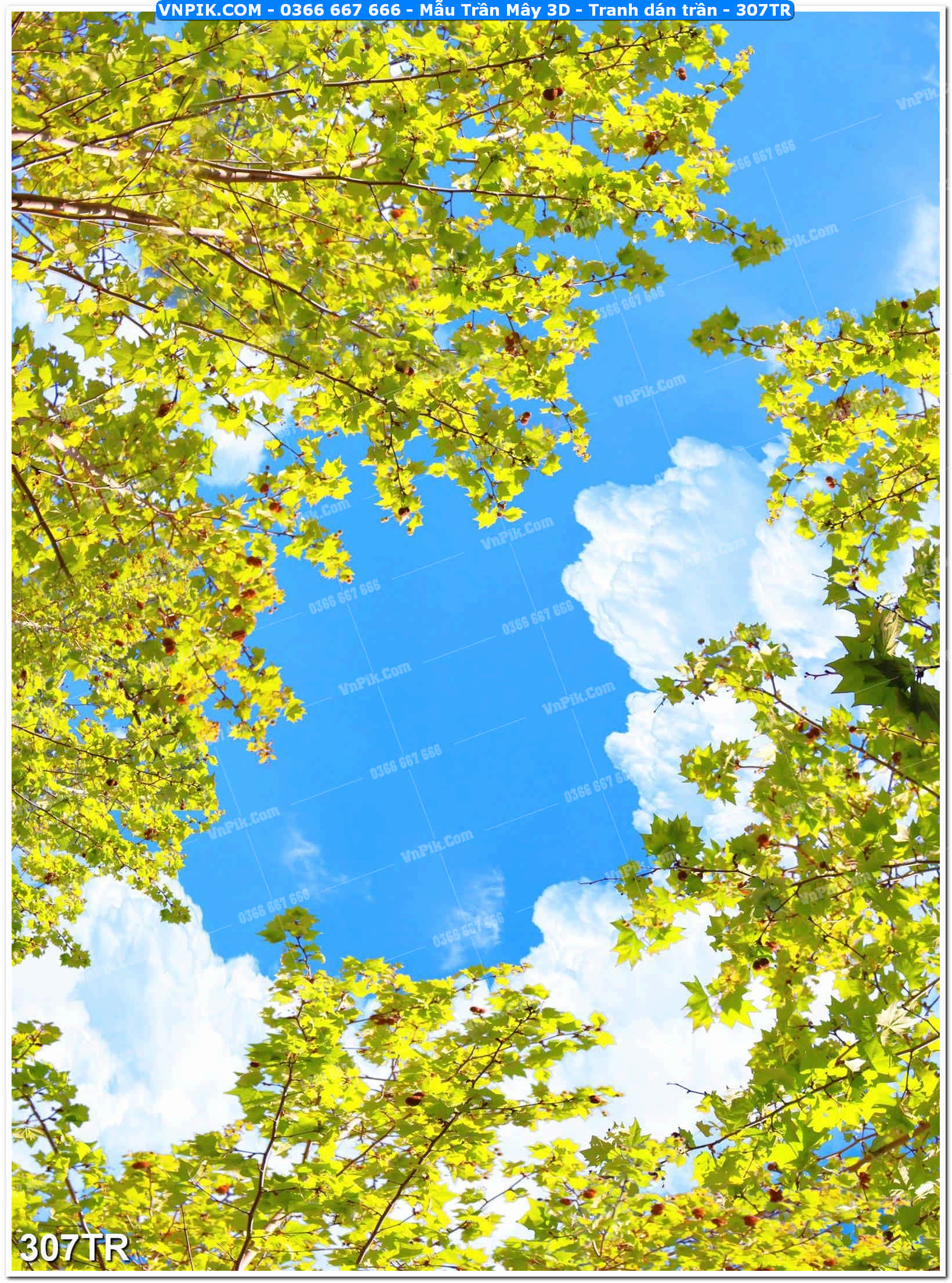 Mẫu Trần Mây 3D – Tranh dán trần 307TR