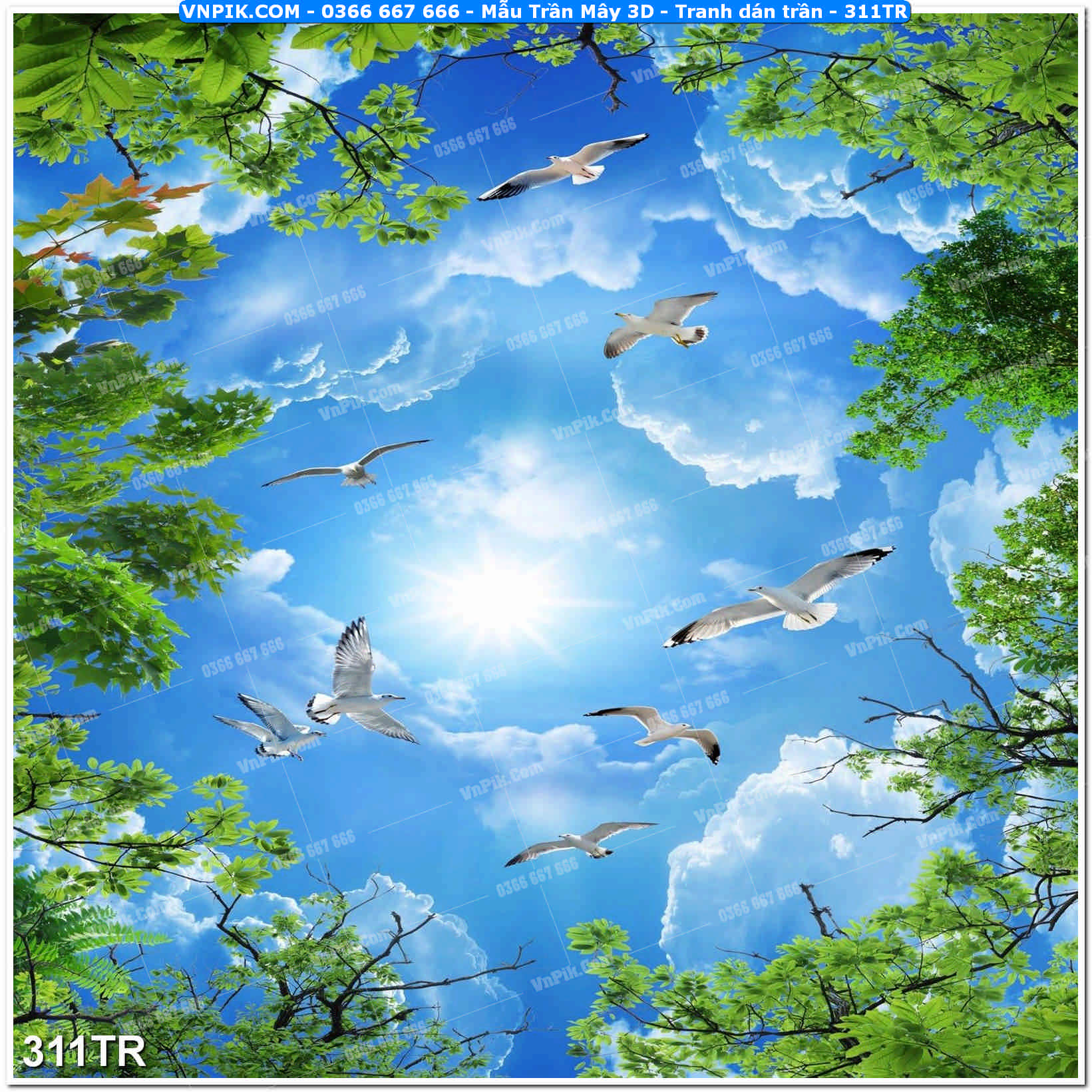 Mẫu Trần Mây 3D – Tranh dán trần 311TR