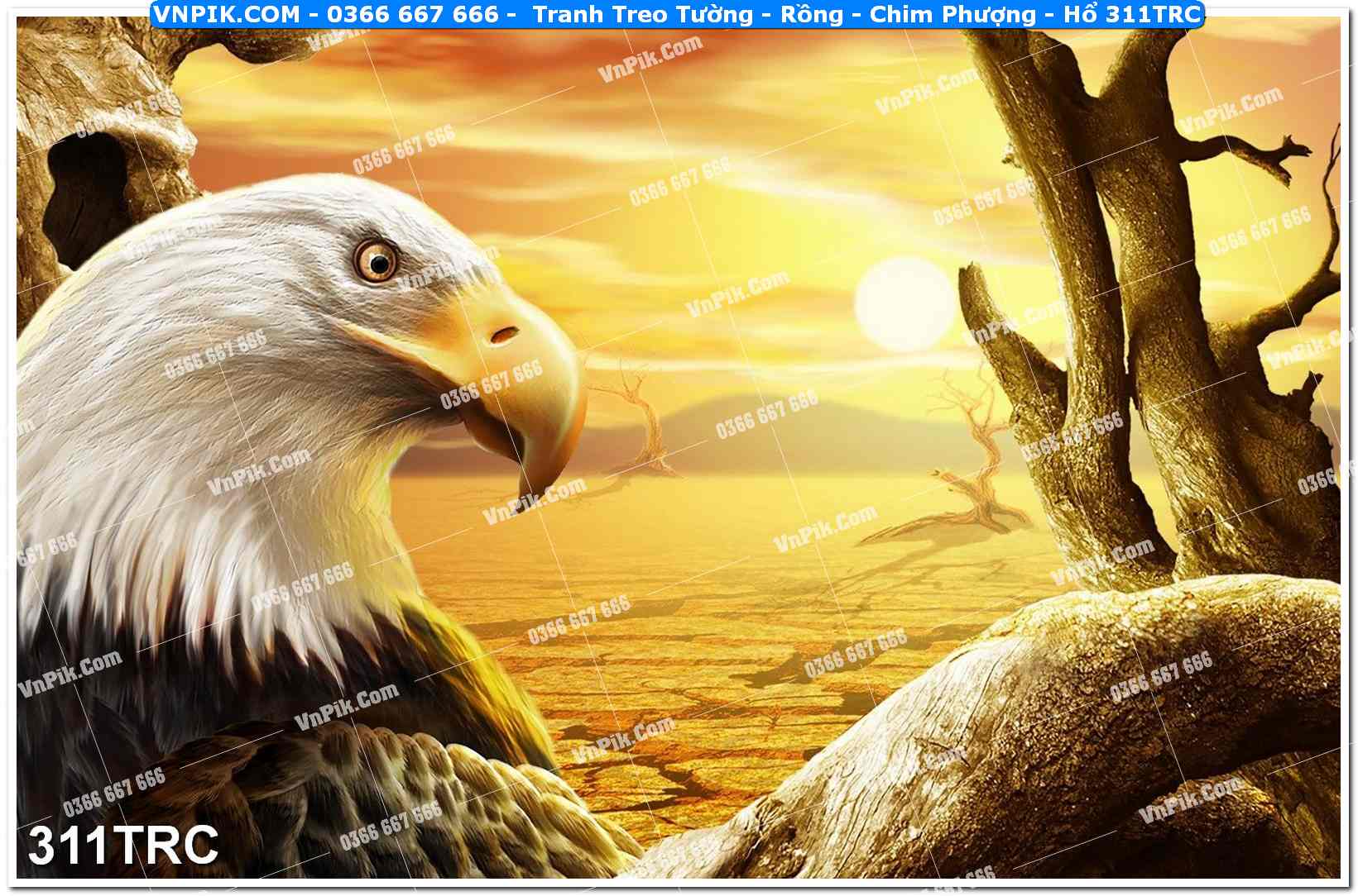 Tranh Treo Tường – Rồng – Chim Phượng – Hổ 311TRC