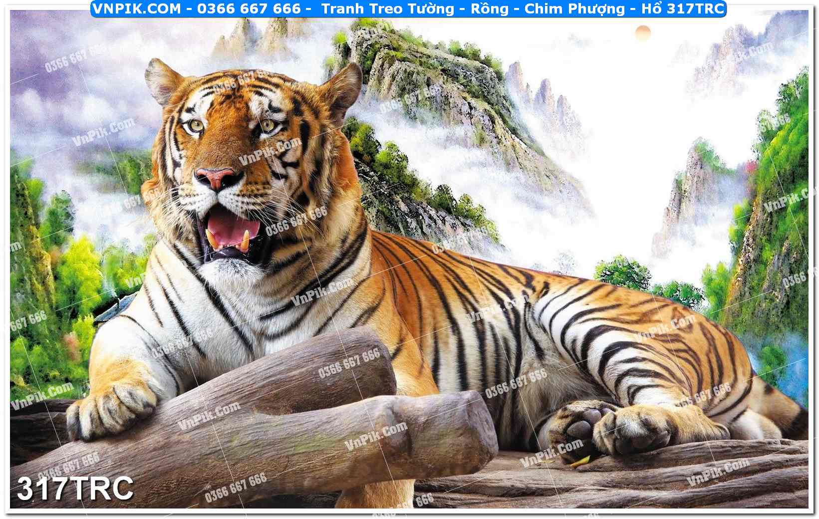 Tranh Treo Tường – Rồng – Chim Phượng – Hổ 317TRC