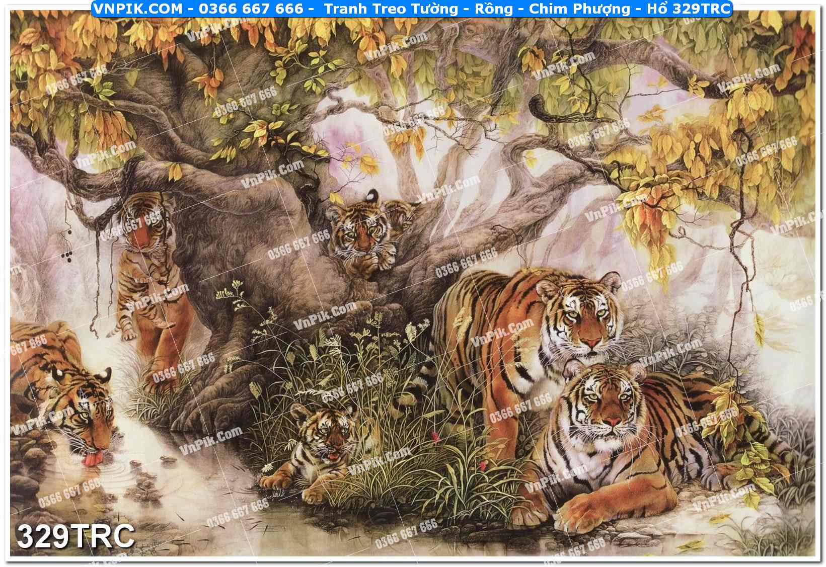 Tranh Treo Tường – Rồng – Chim Phượng – Hổ 329TRC