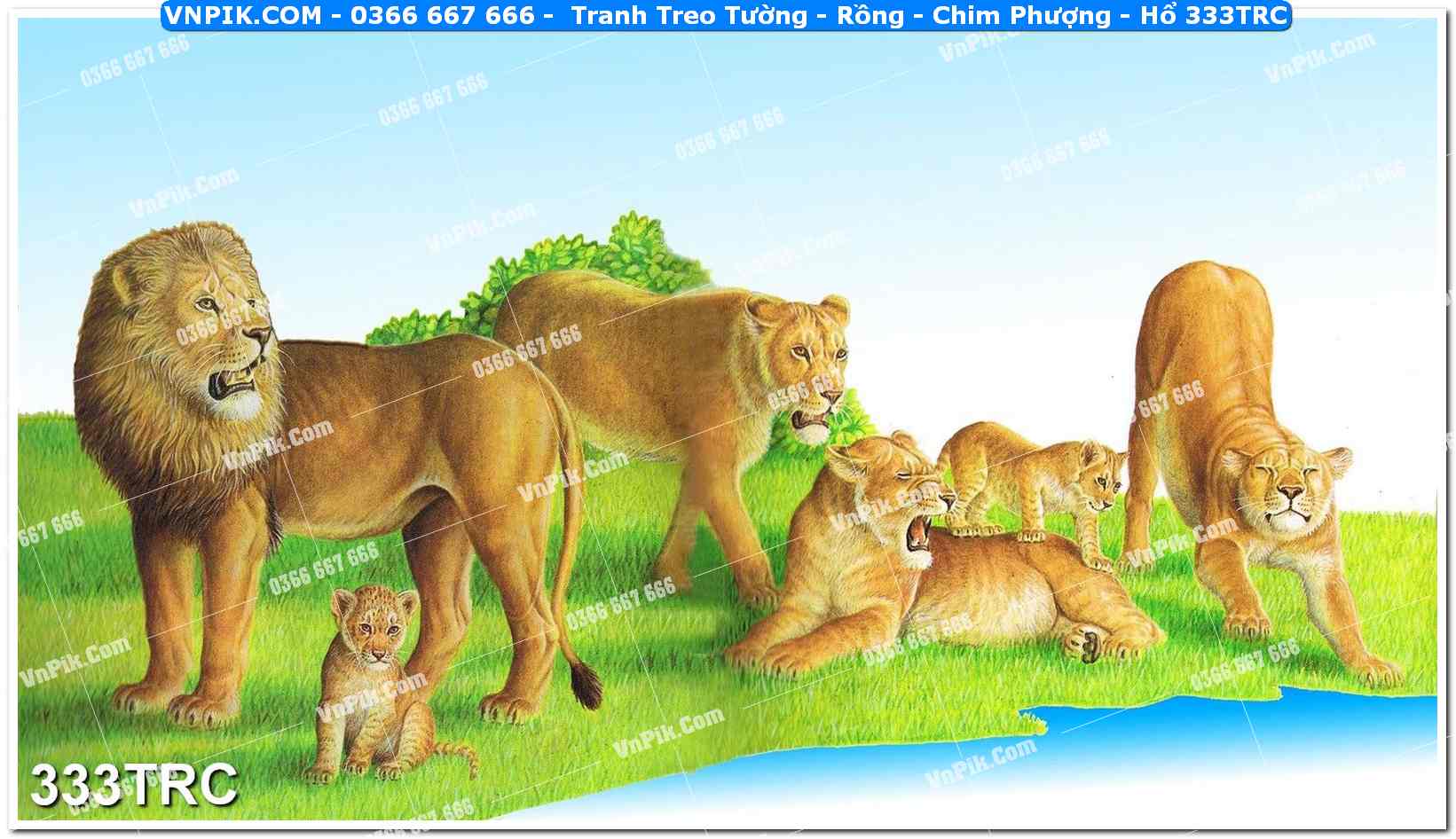 Tranh Treo Tường – Rồng – Chim Phượng – Hổ 333TRC