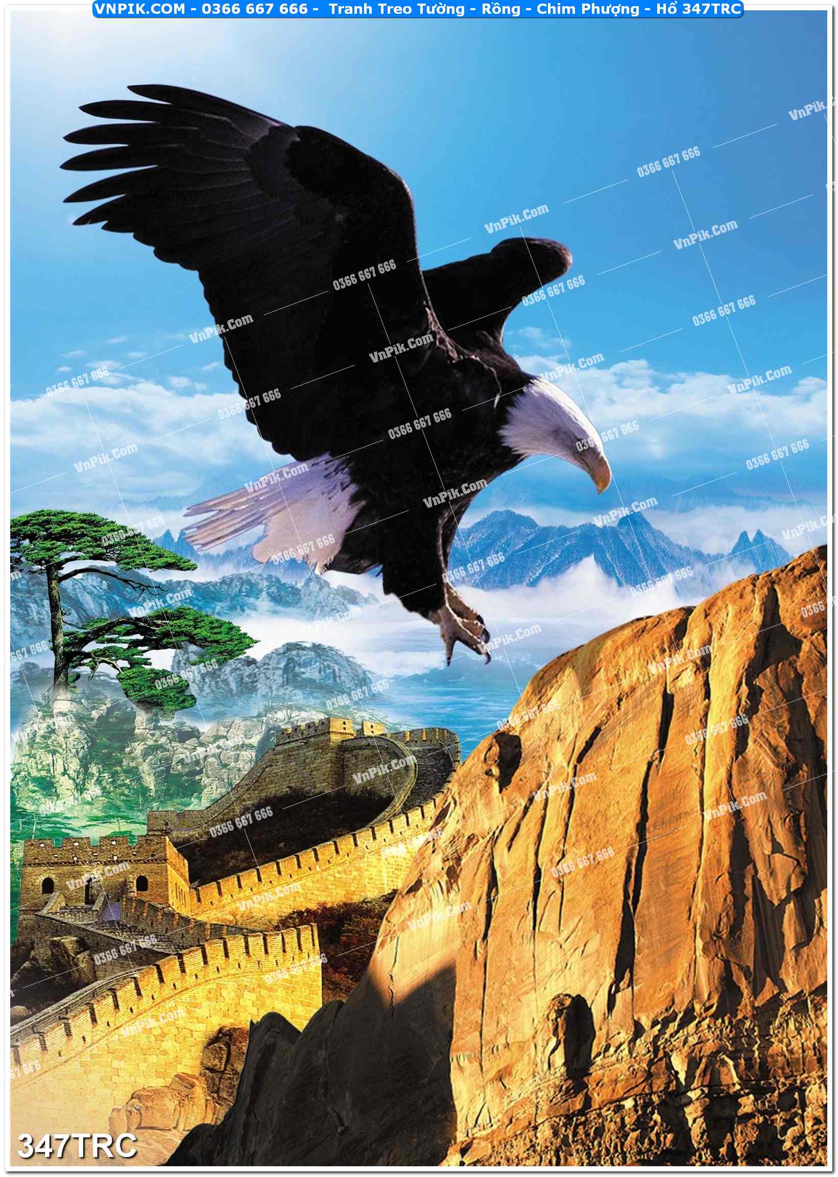 Tranh Treo Tường – Rồng – Chim Phượng – Hổ 347TRC