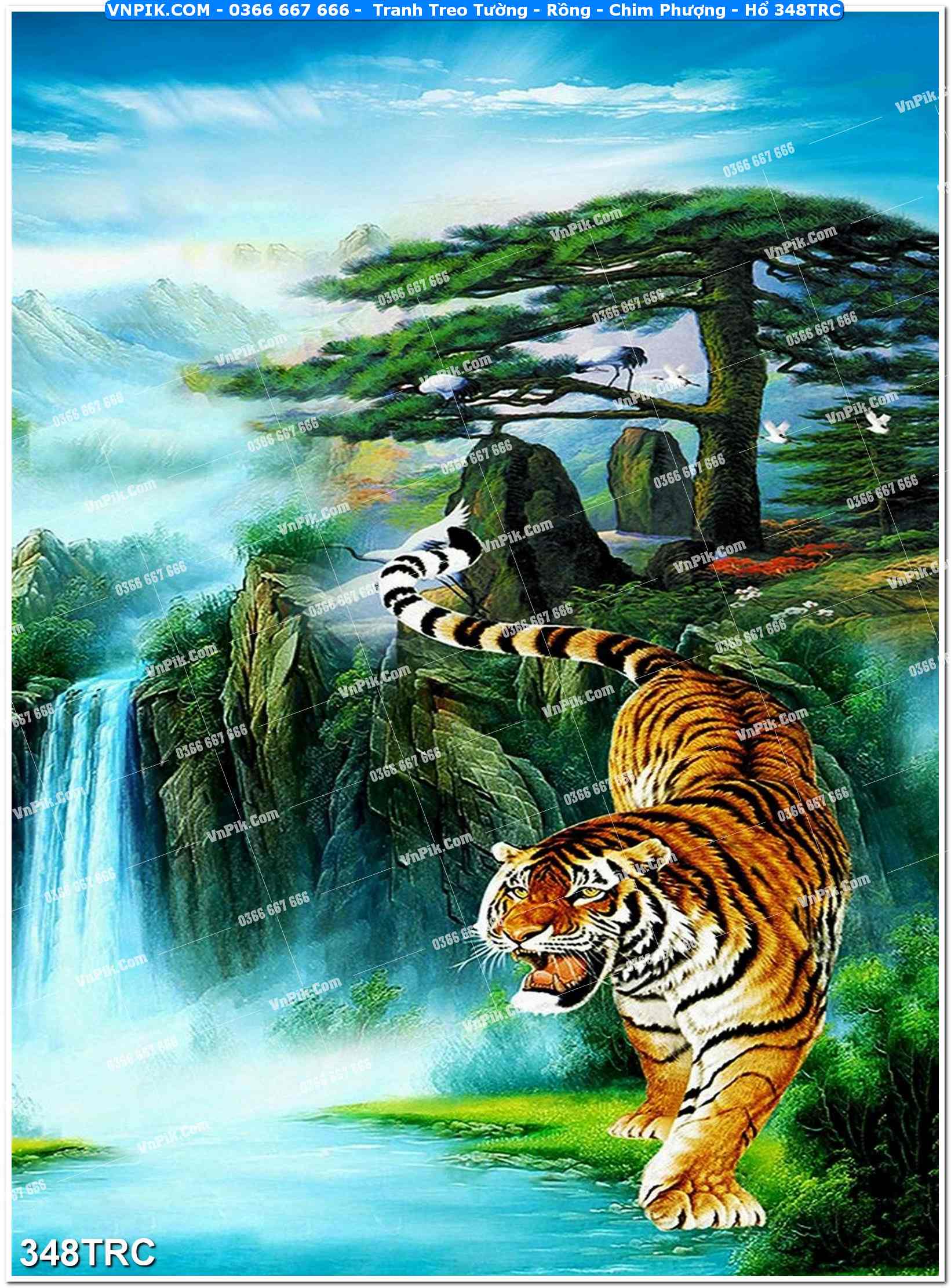 Tranh Treo Tường – Rồng – Chim Phượng – Hổ 348TRC