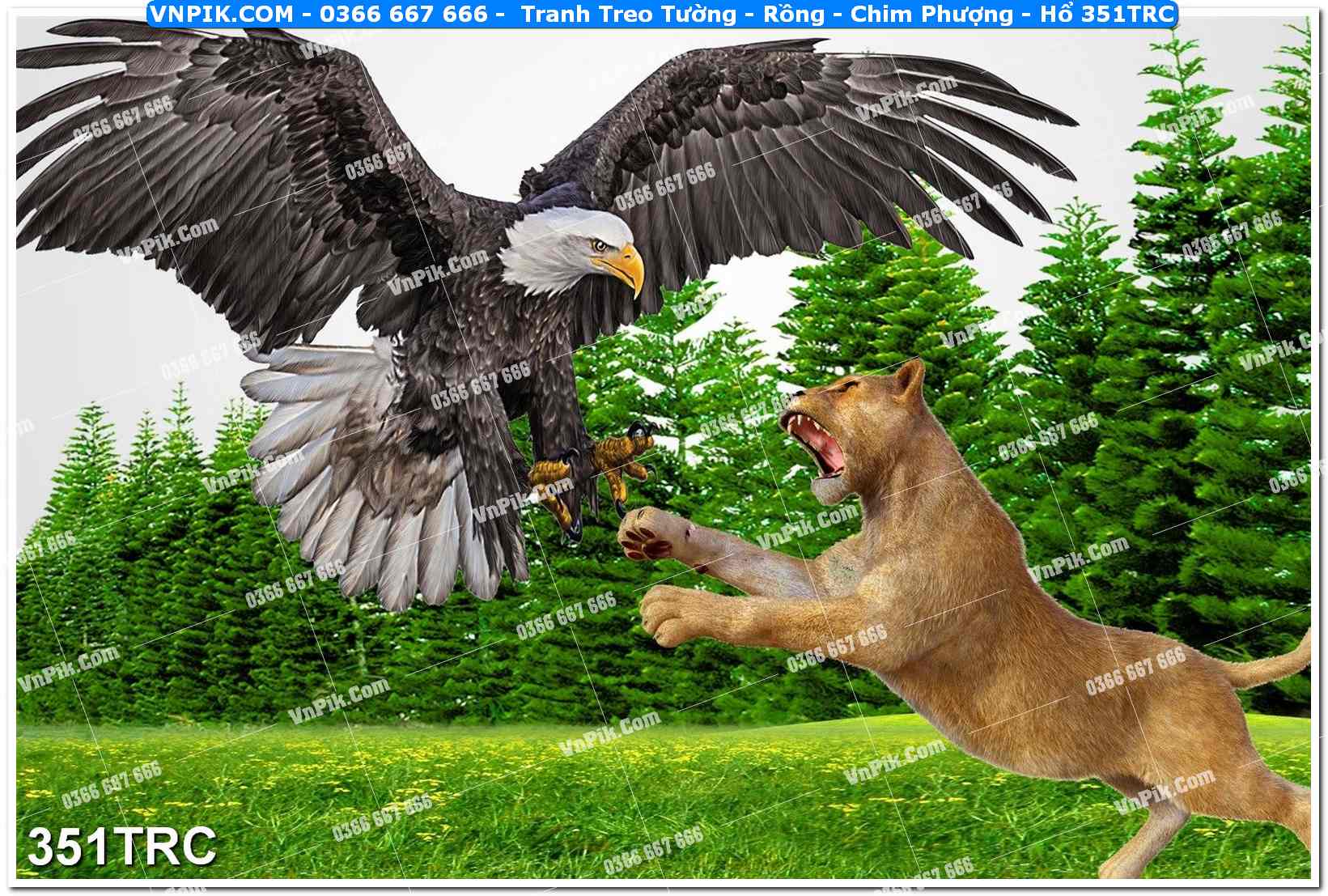 Tranh Treo Tường – Rồng – Chim Phượng – Hổ 351TRC