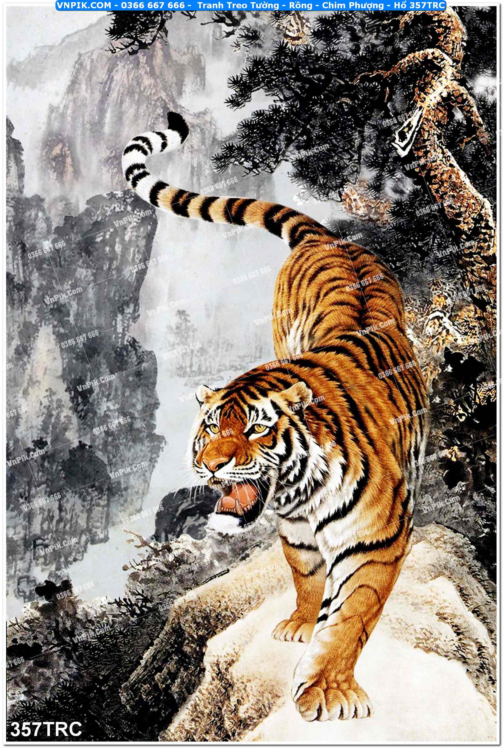 Tranh Treo Tường – Rồng – Chim Phượng – Hổ 357TRC
