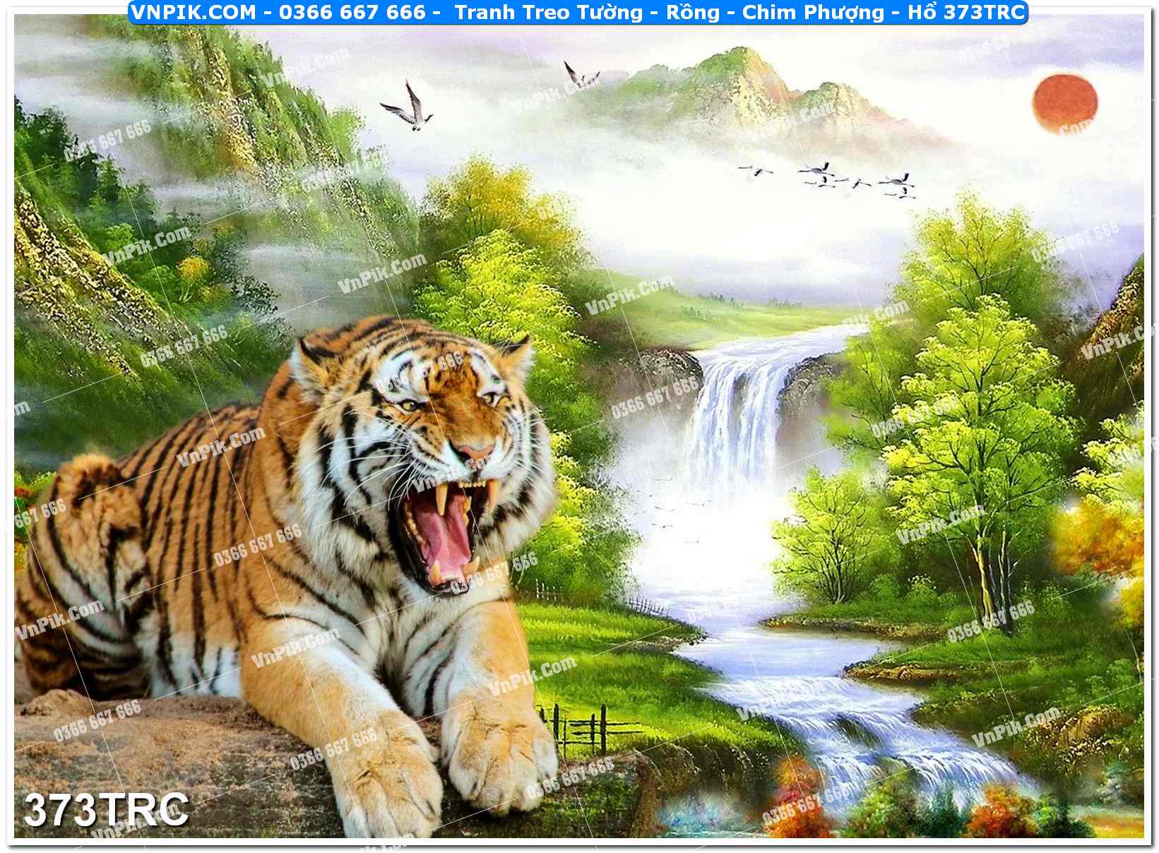 Tranh Treo Tường – Rồng – Chim Phượng – Hổ 373TRC