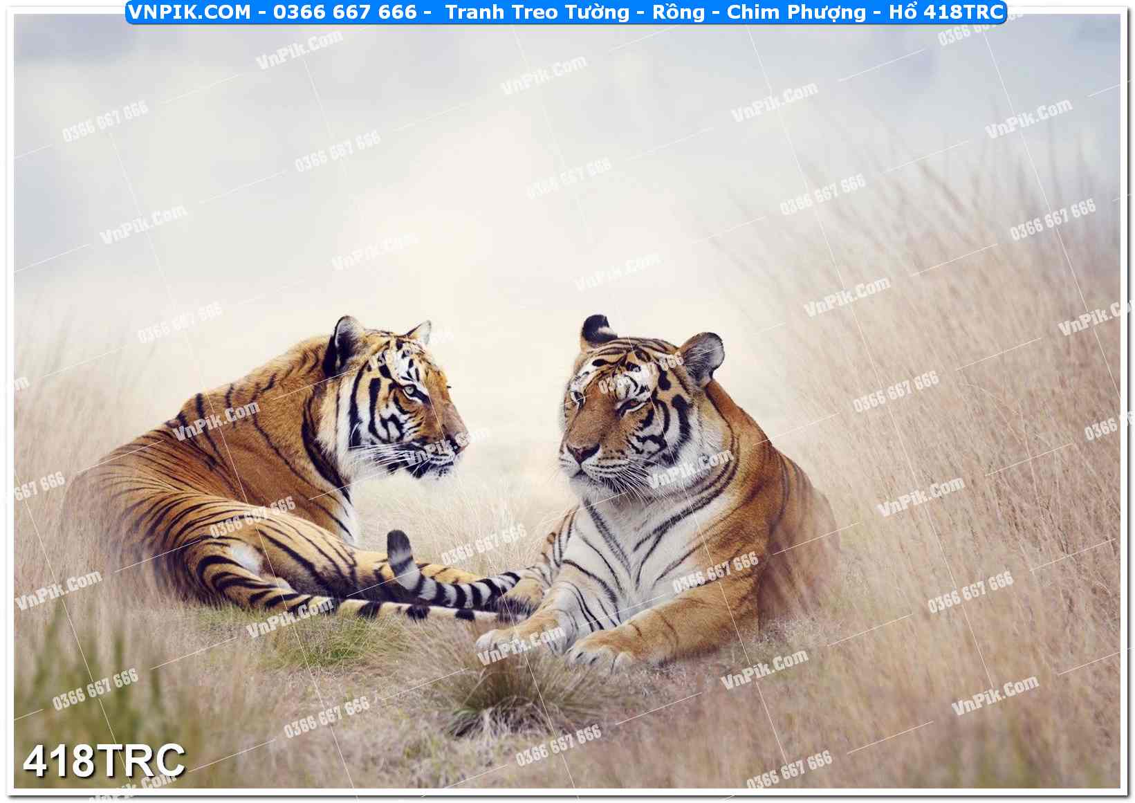 Tranh Treo Tường – Rồng – Chim Phượng – Hổ 418TRC