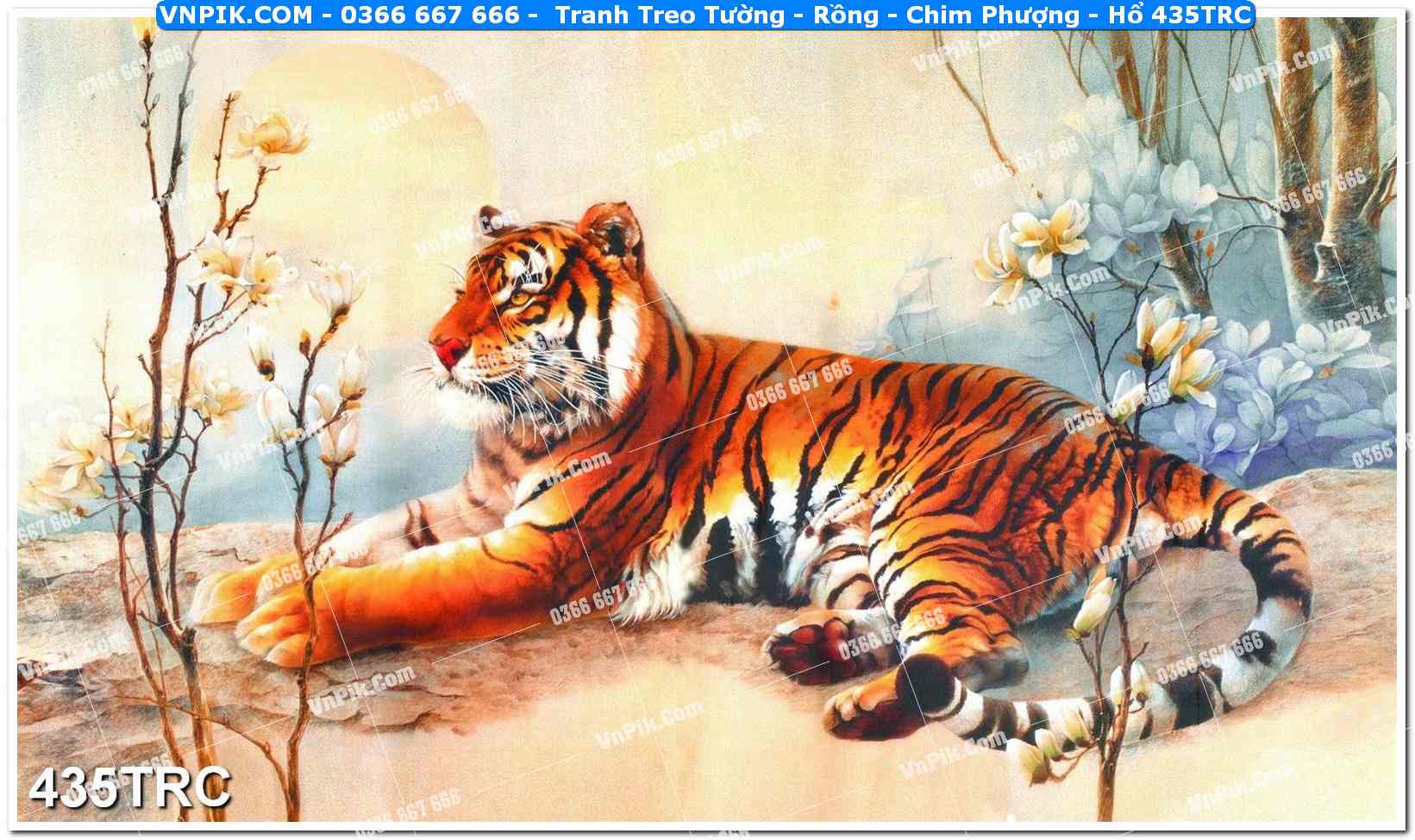 Tranh Treo Tường – Rồng – Chim Phượng – Hổ 435TRC