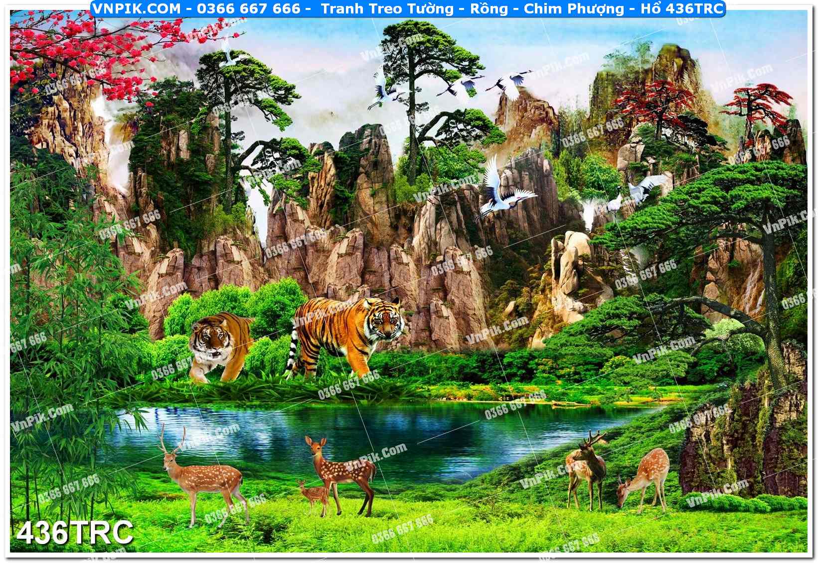 Tranh Treo Tường – Rồng – Chim Phượng – Hổ 436TRC