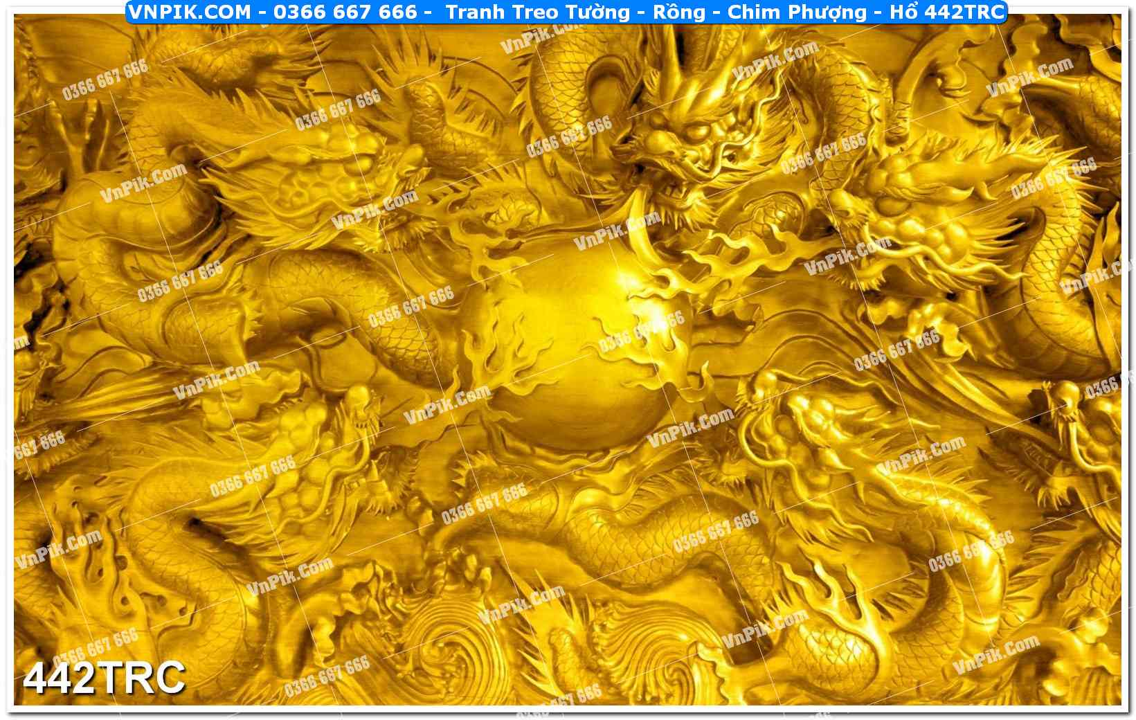 Tranh Treo Tường – Rồng – Chim Phượng – Hổ 442TRC