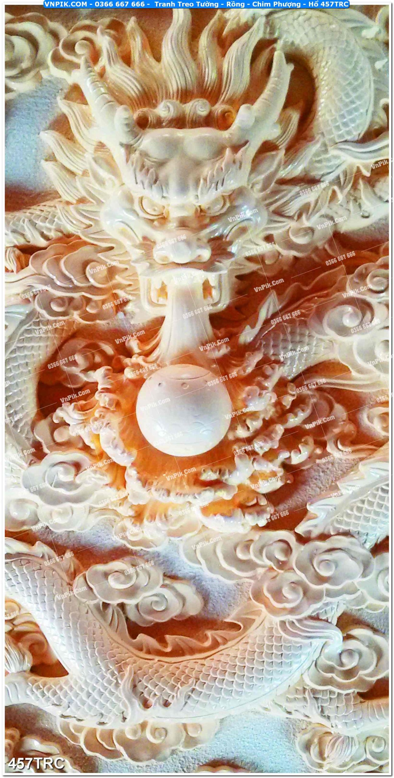 Tranh Treo Tường – Rồng – Chim Phượng – Hổ 457TRC